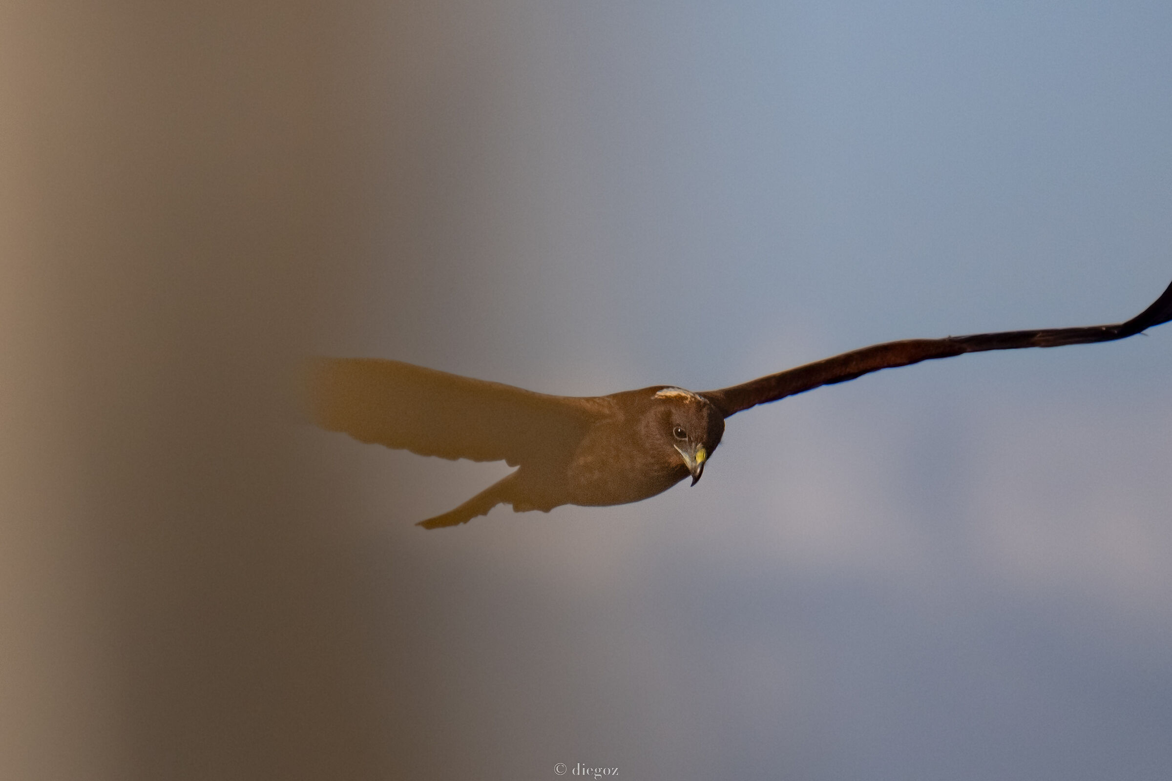 in agguato dietro al palo