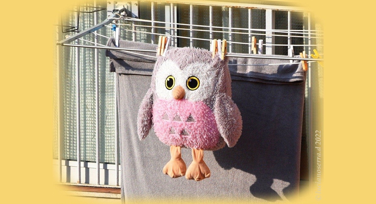 Gufona lavata... gufona fortunata...