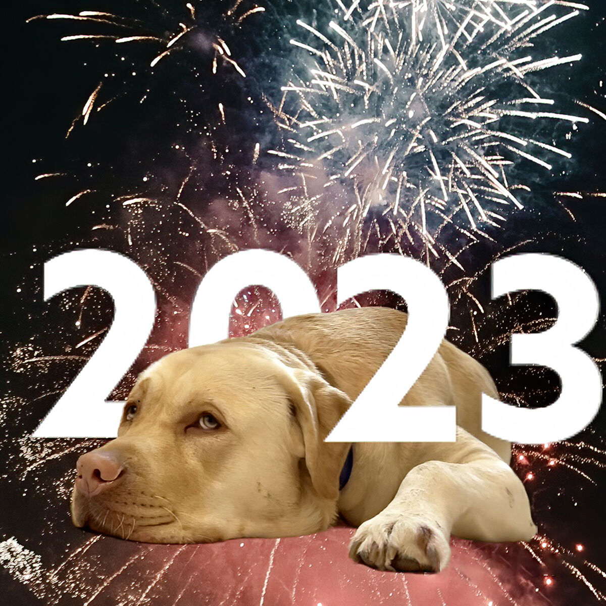 HAPPY 2023