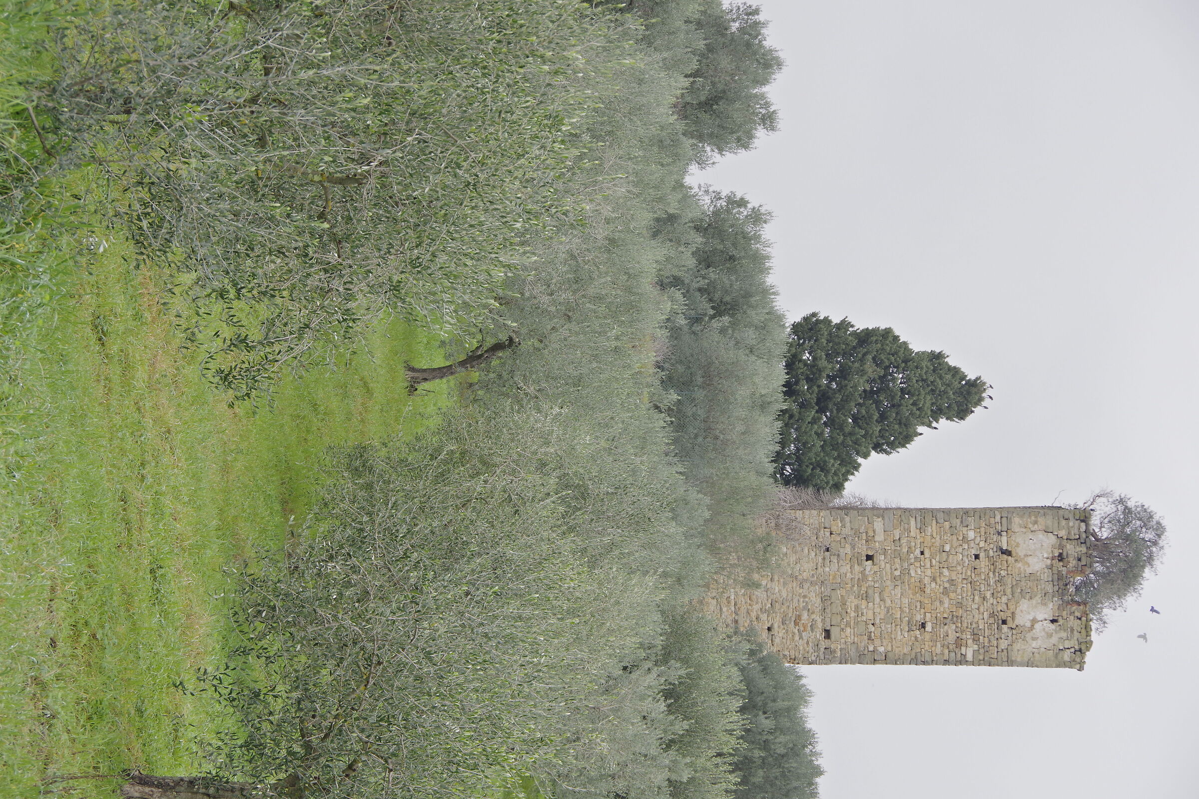 Tower of the Castle of Quarate. Bagno a Ripoli