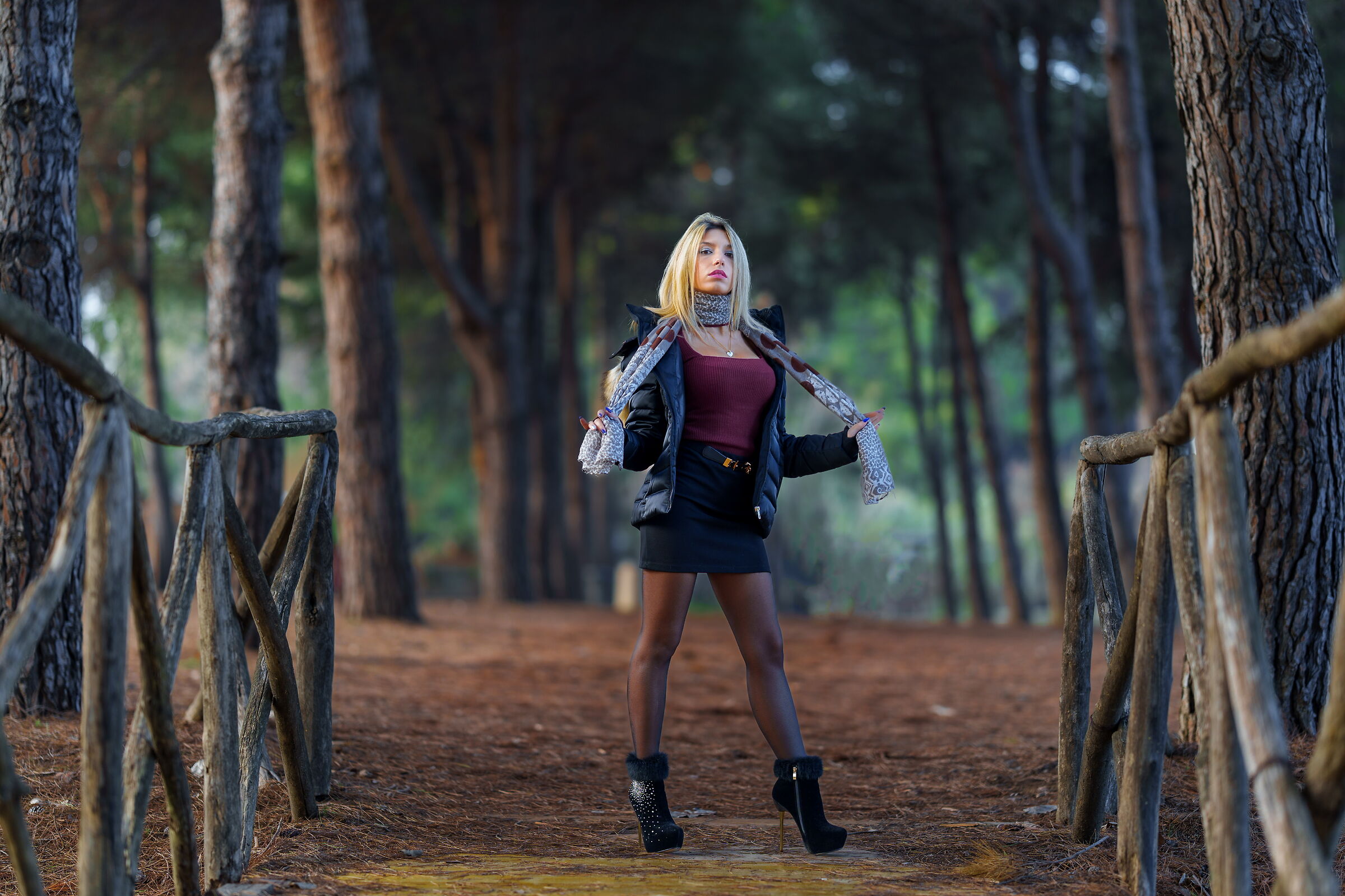 La via nella pineta..