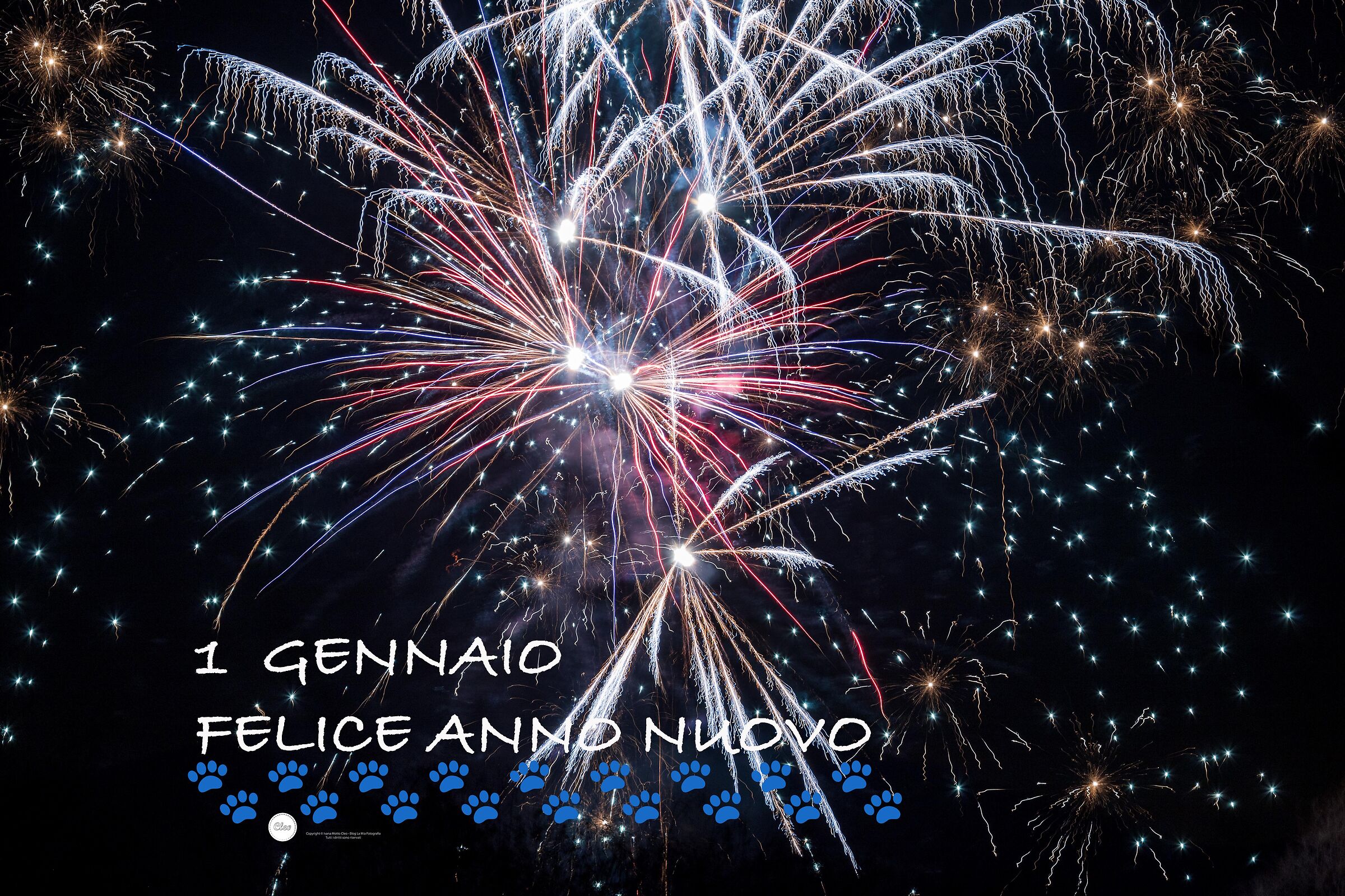 ?2023 Happy New Year?