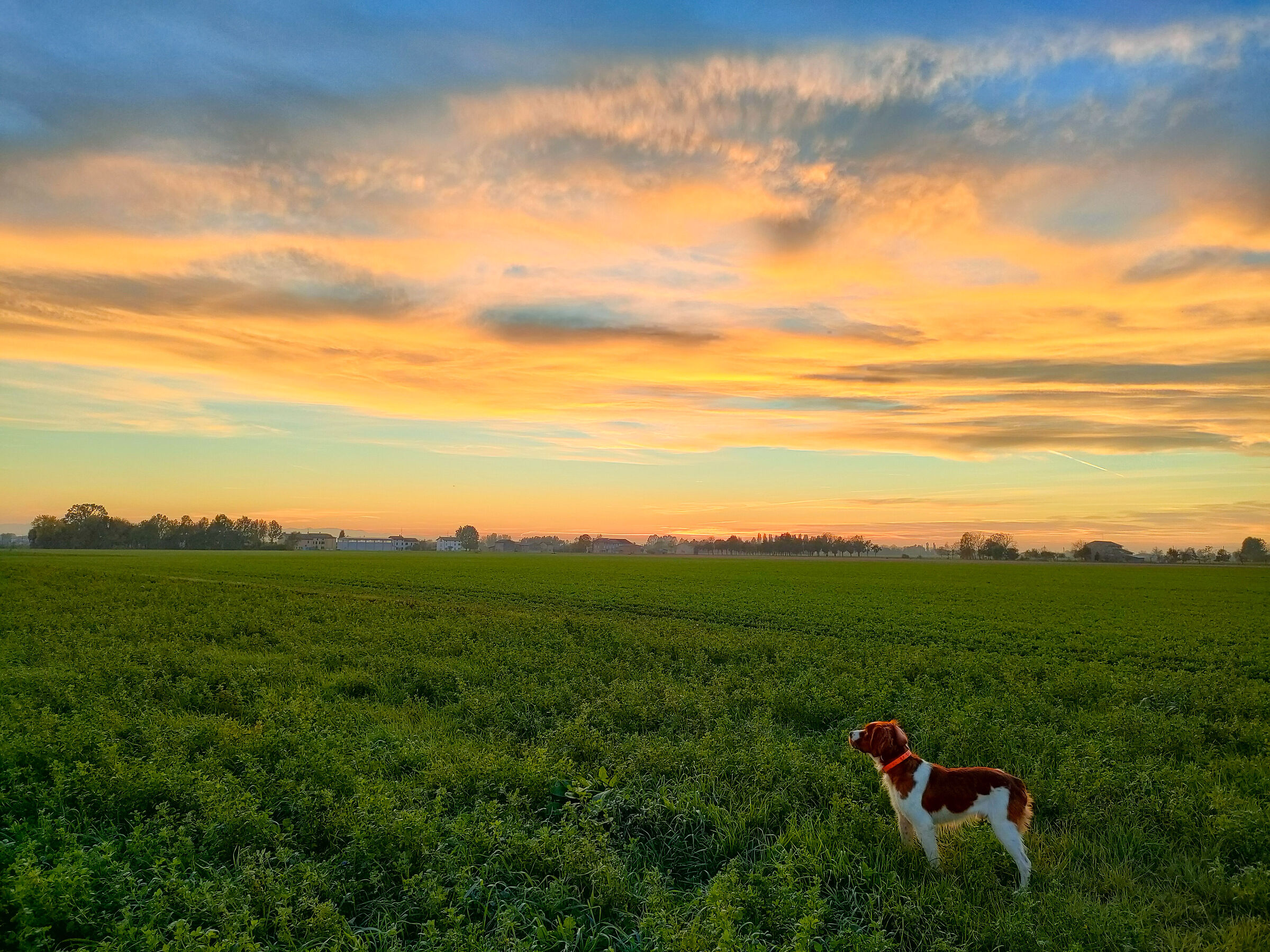 Waiting for the night