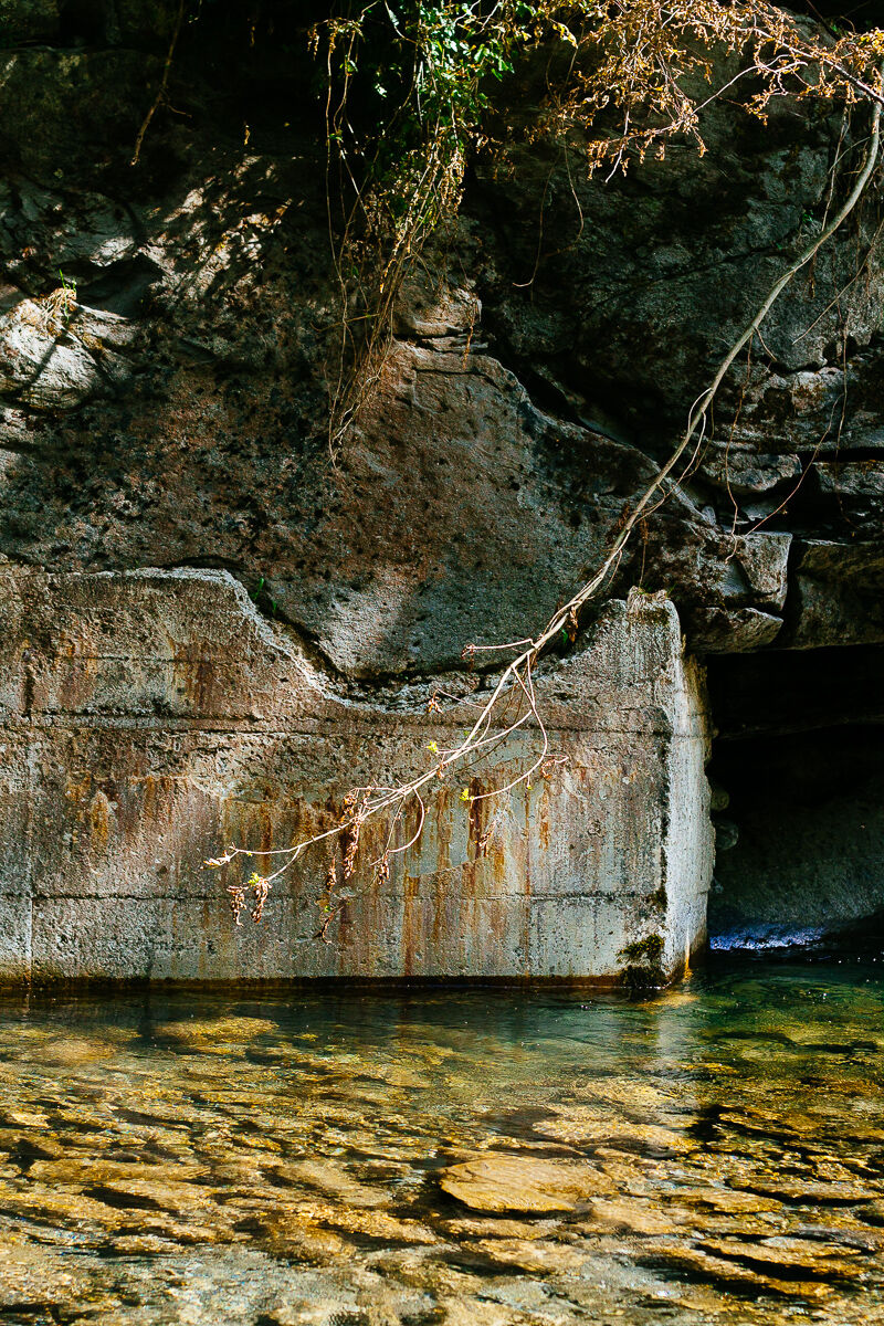 Un ramo sembra voler raggiungere le acque del torrente.