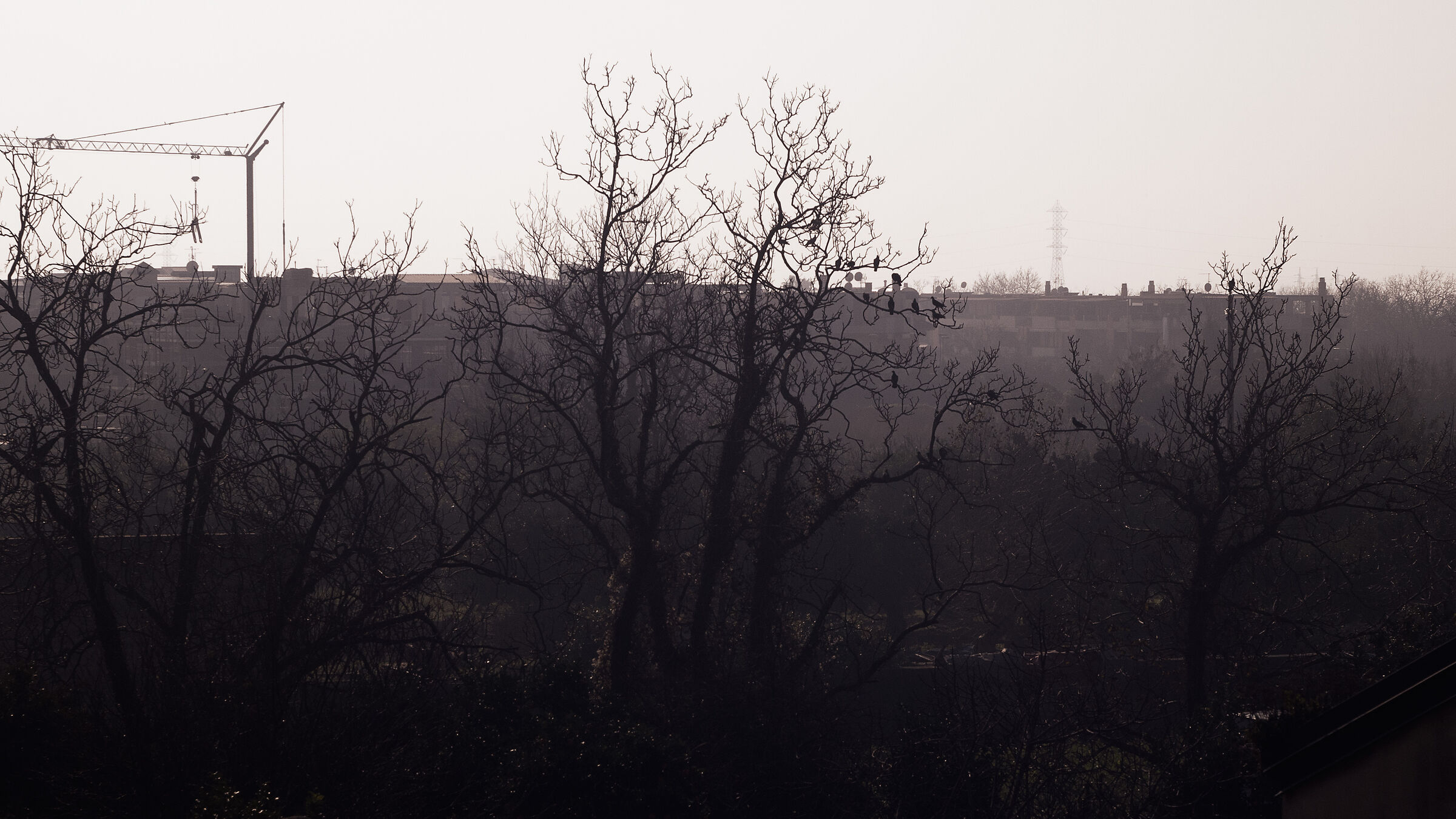 Fog and sulfur. New Year's Day, 2023.