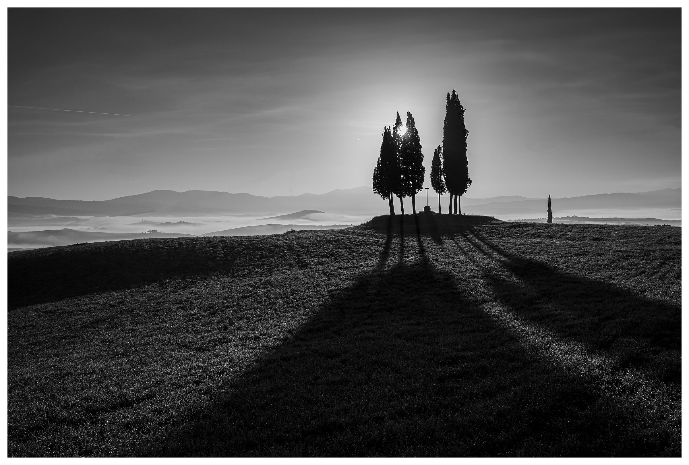 Controluce