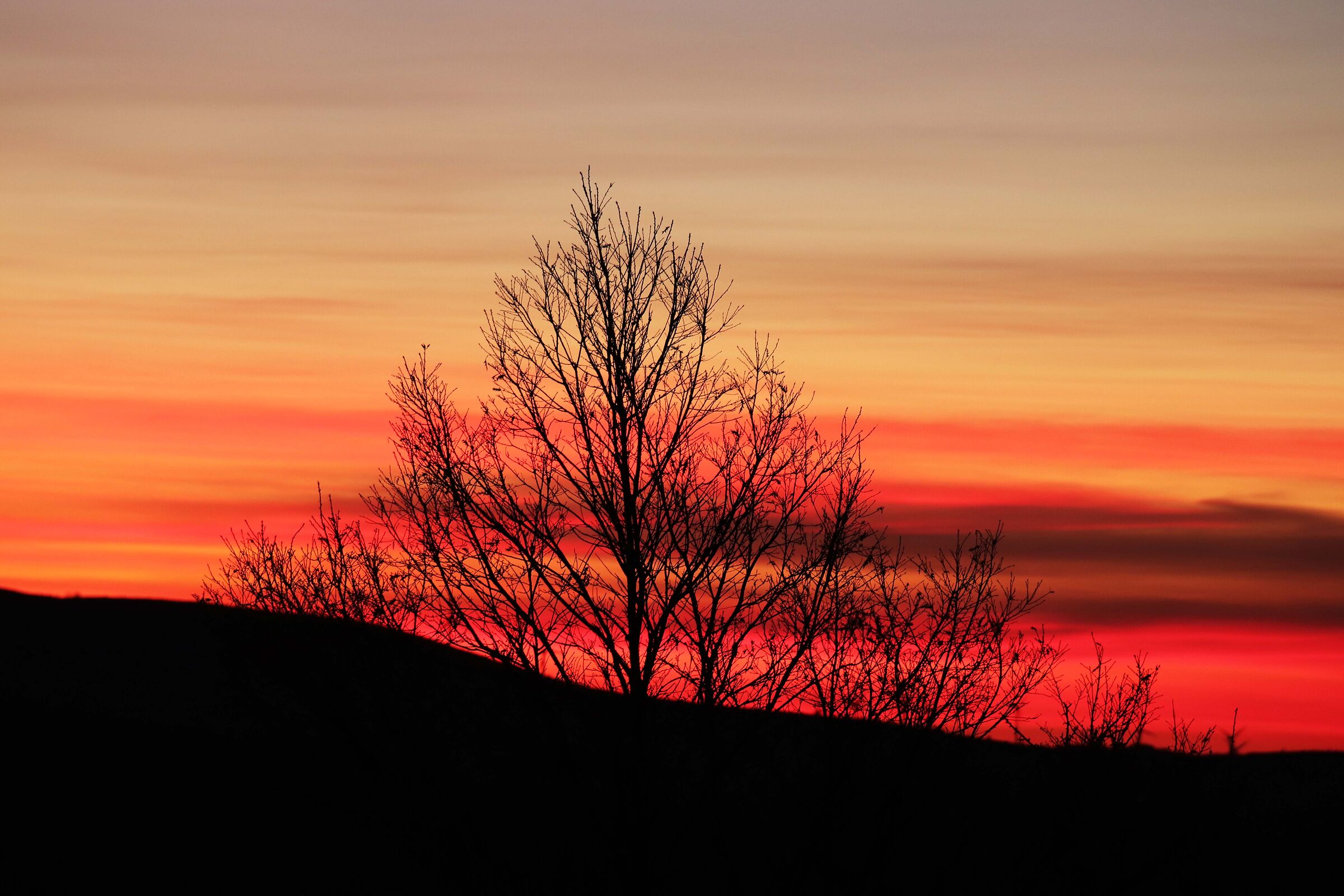 Photo n° 1927 of 2022. A year to forget.