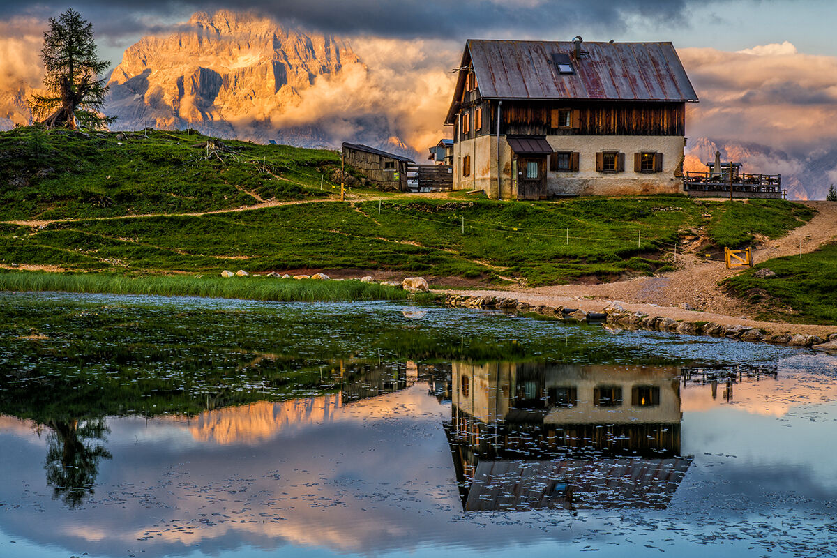 Tra vette e riflessi