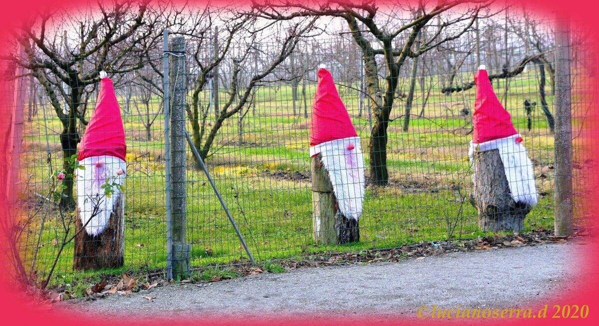 Christmas gnomes too greedy under house arrest