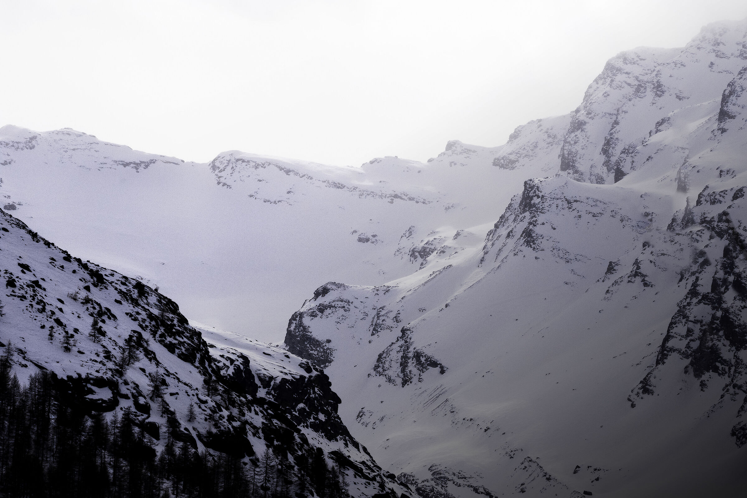 Glimpse (Gran Paradiso National Park)