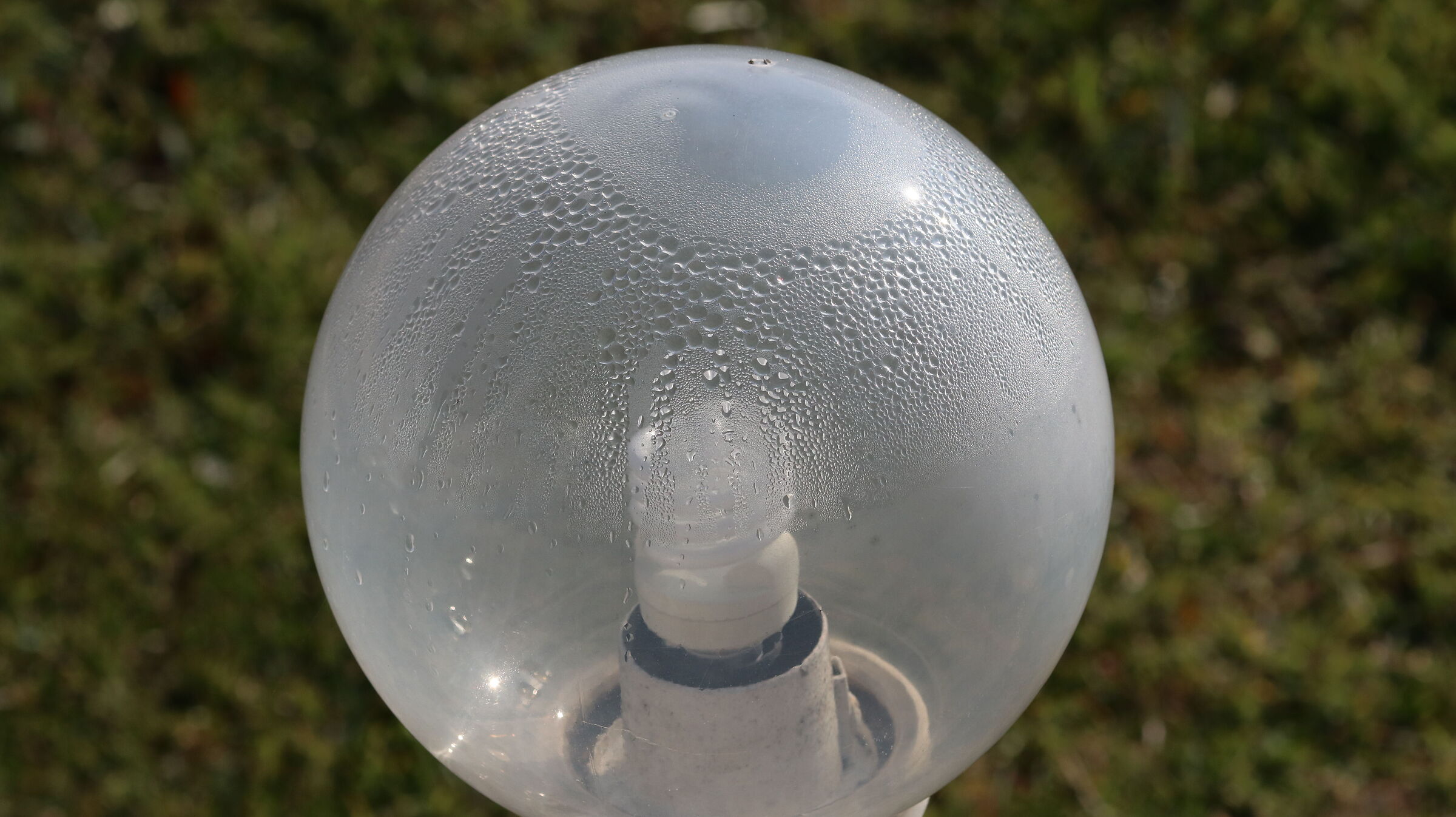 " Crop 216 ", Canon 135 F. 2 L usm, 80 D
