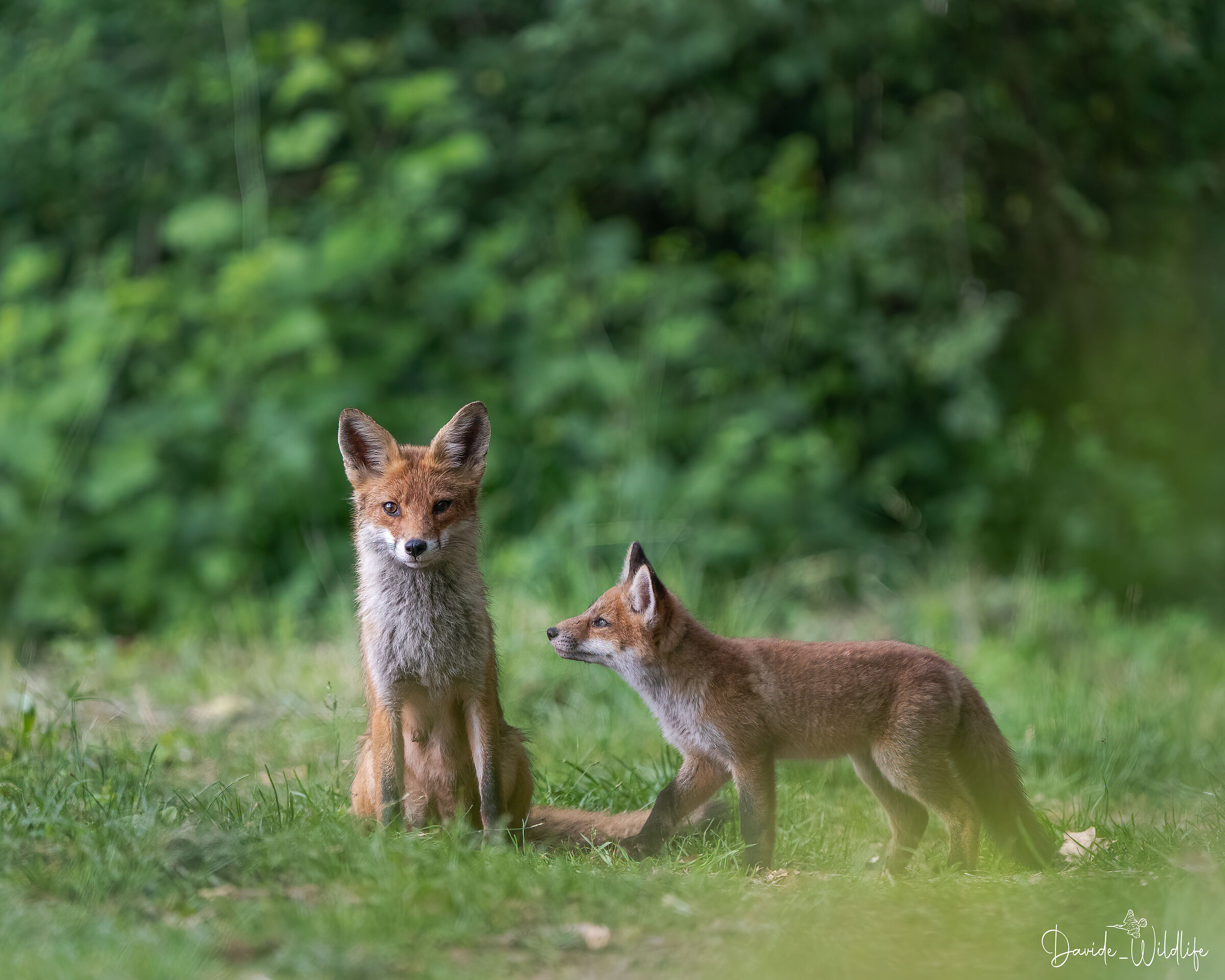 mamma e figlio