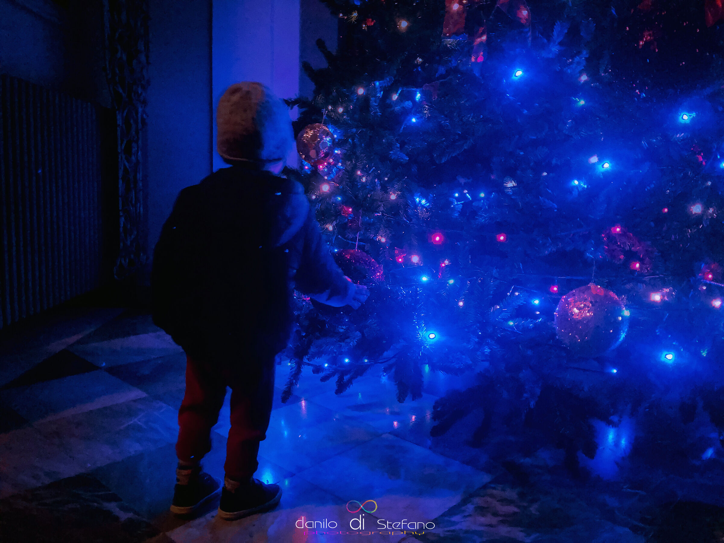 Teatro Garibaldi - Palermo