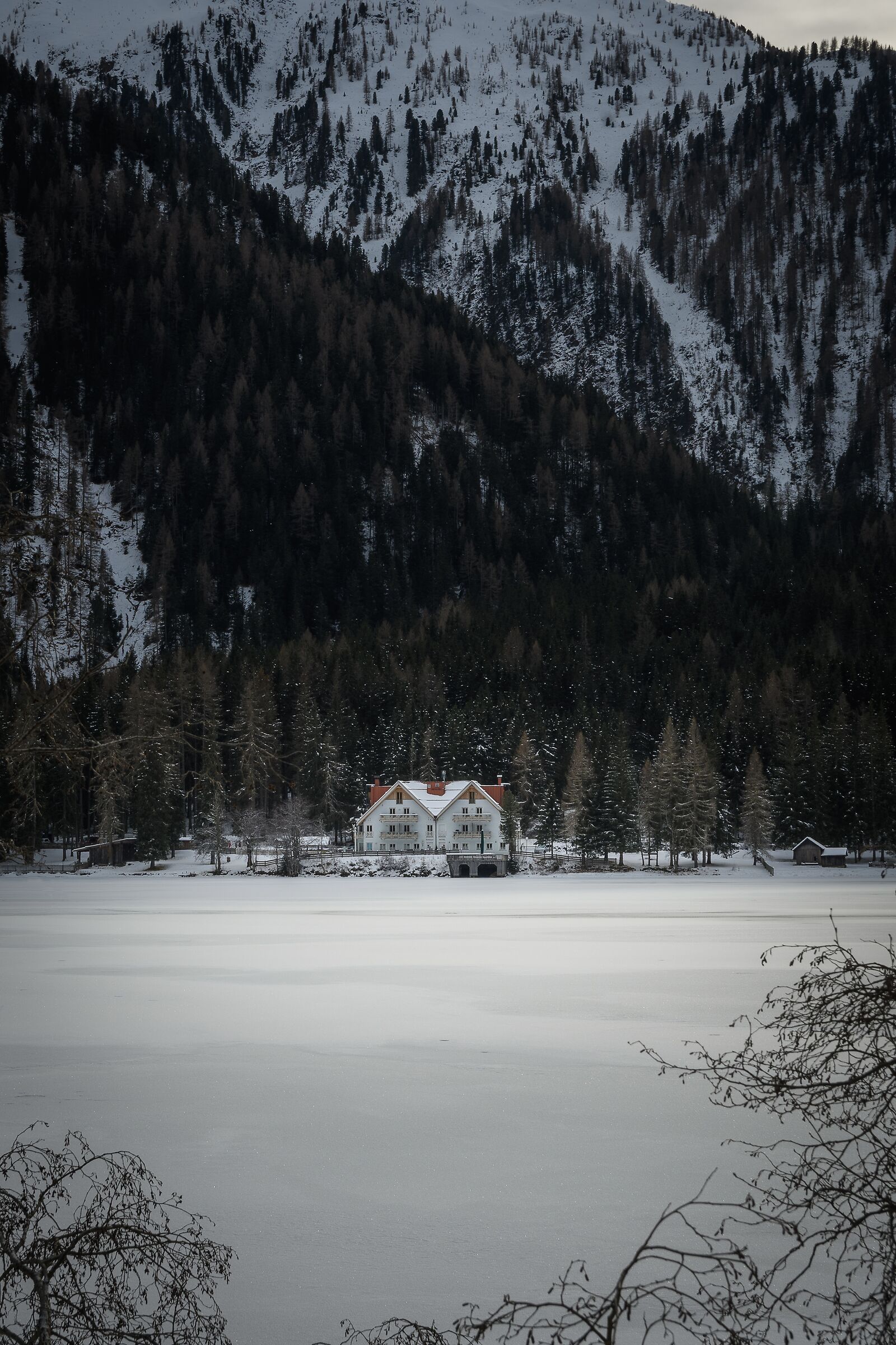 Untitled Photo