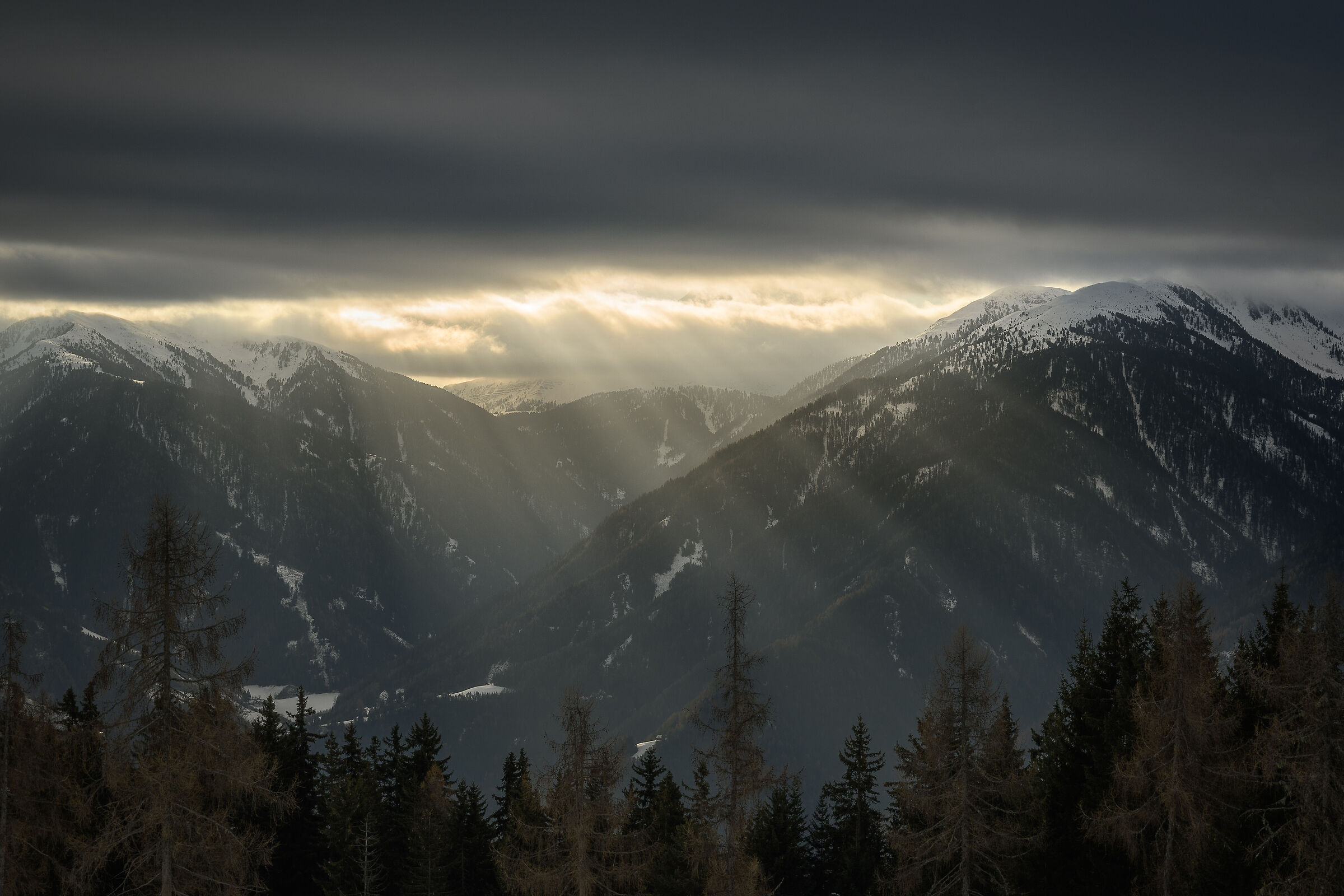 Untitled Photo