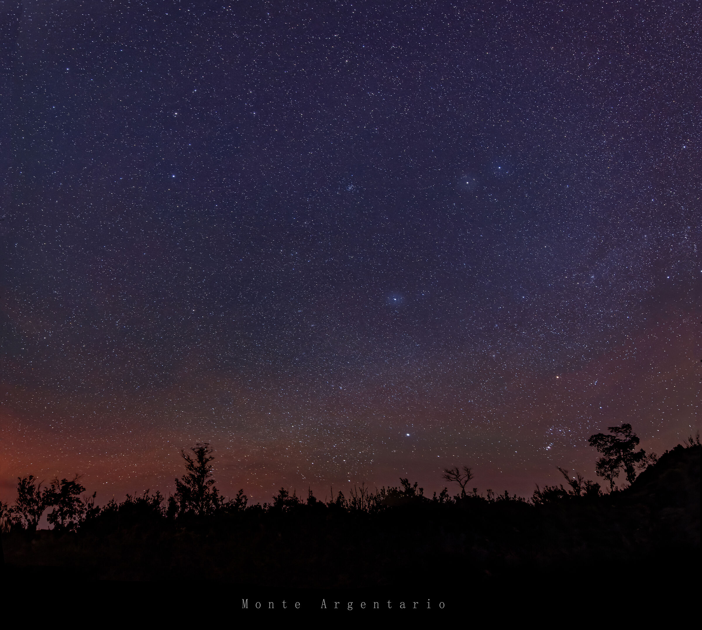 New Year's Eve with the Stars