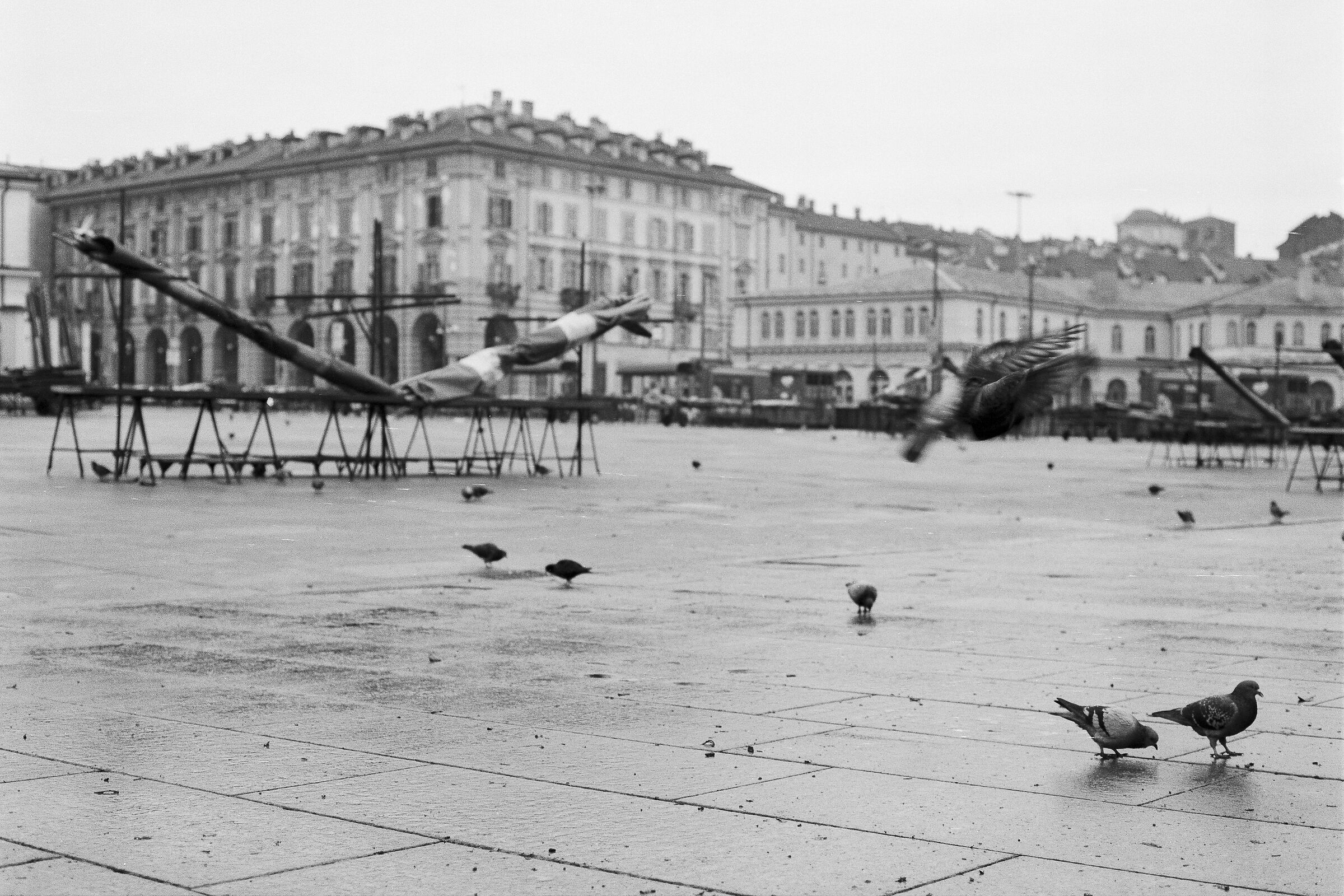 Torino_07