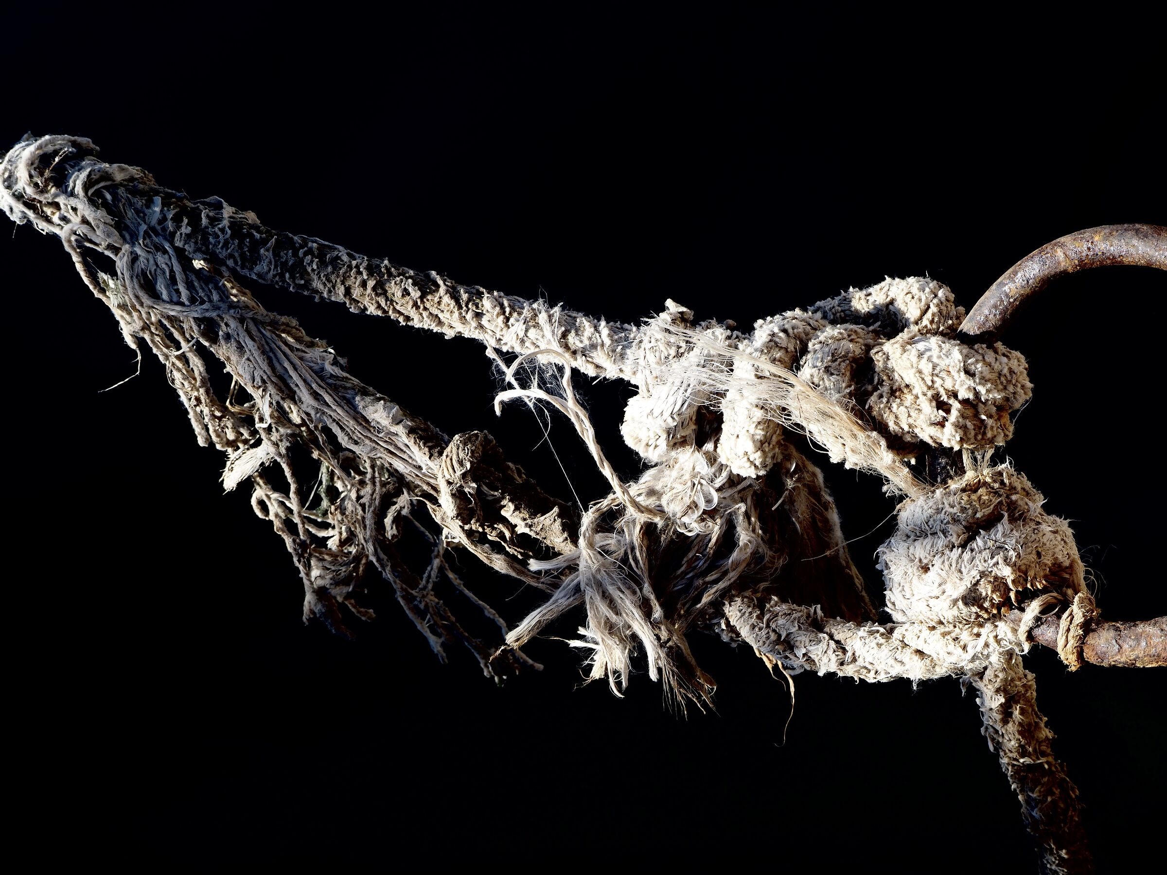 The rope