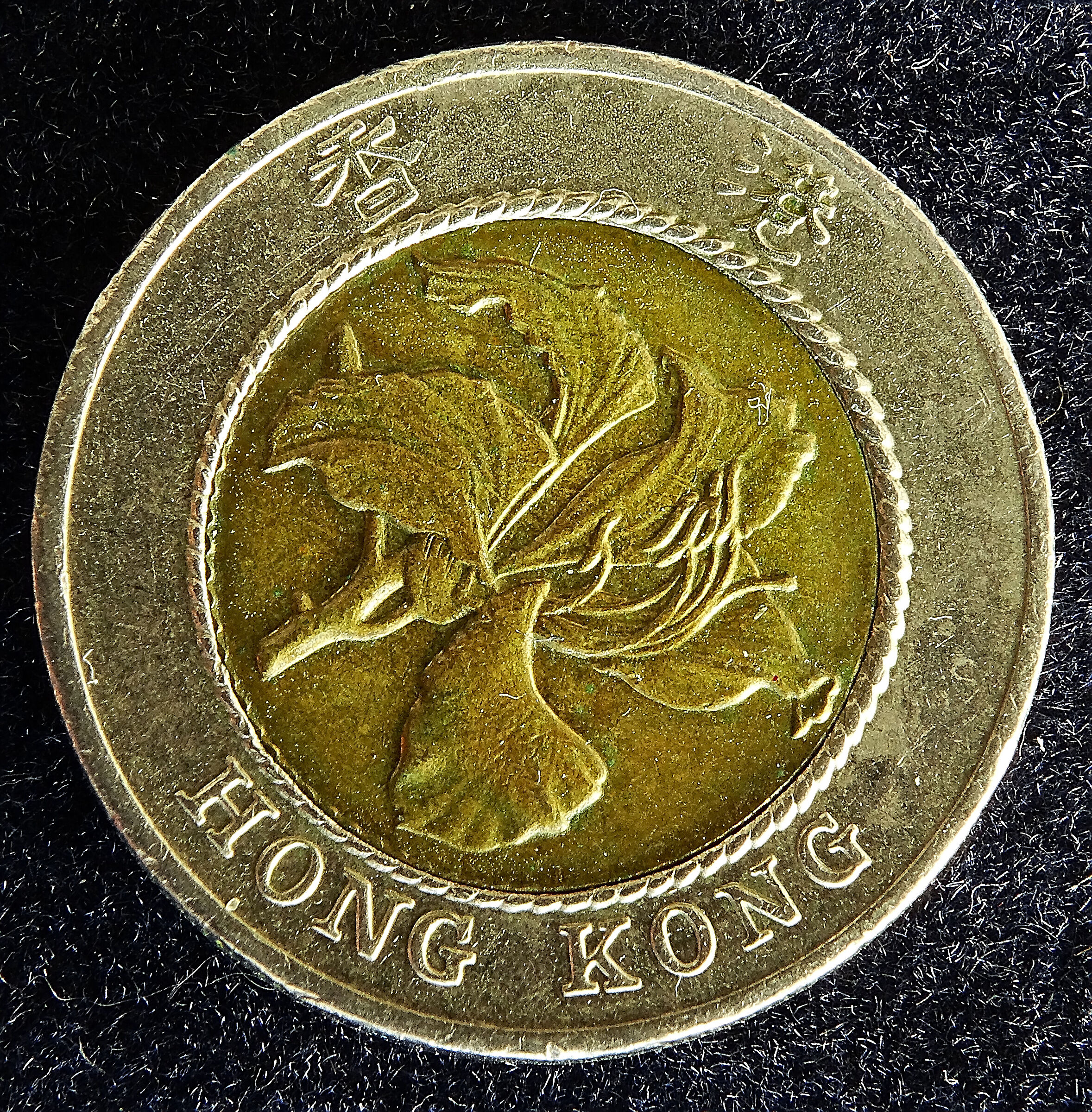 art.2900
