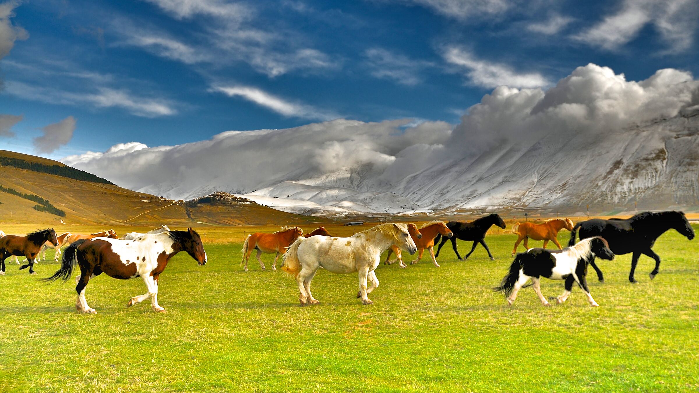Castelluccio di Norcia
