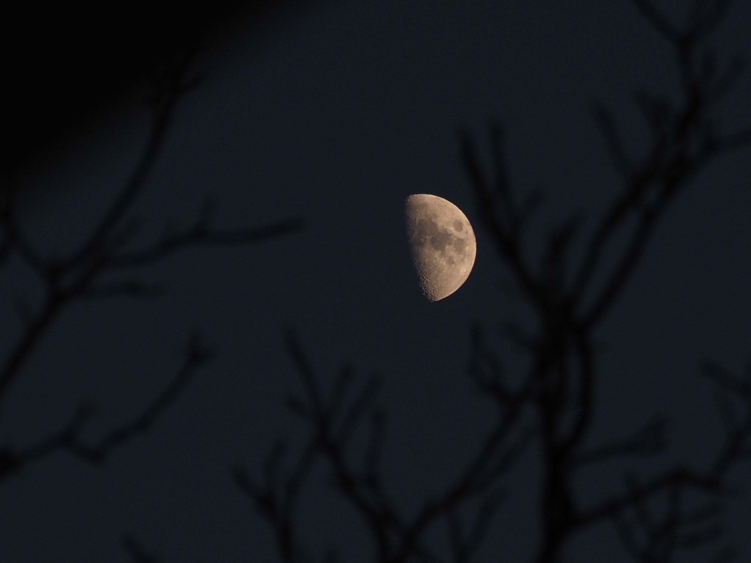 Playing on the balcony of the house....
