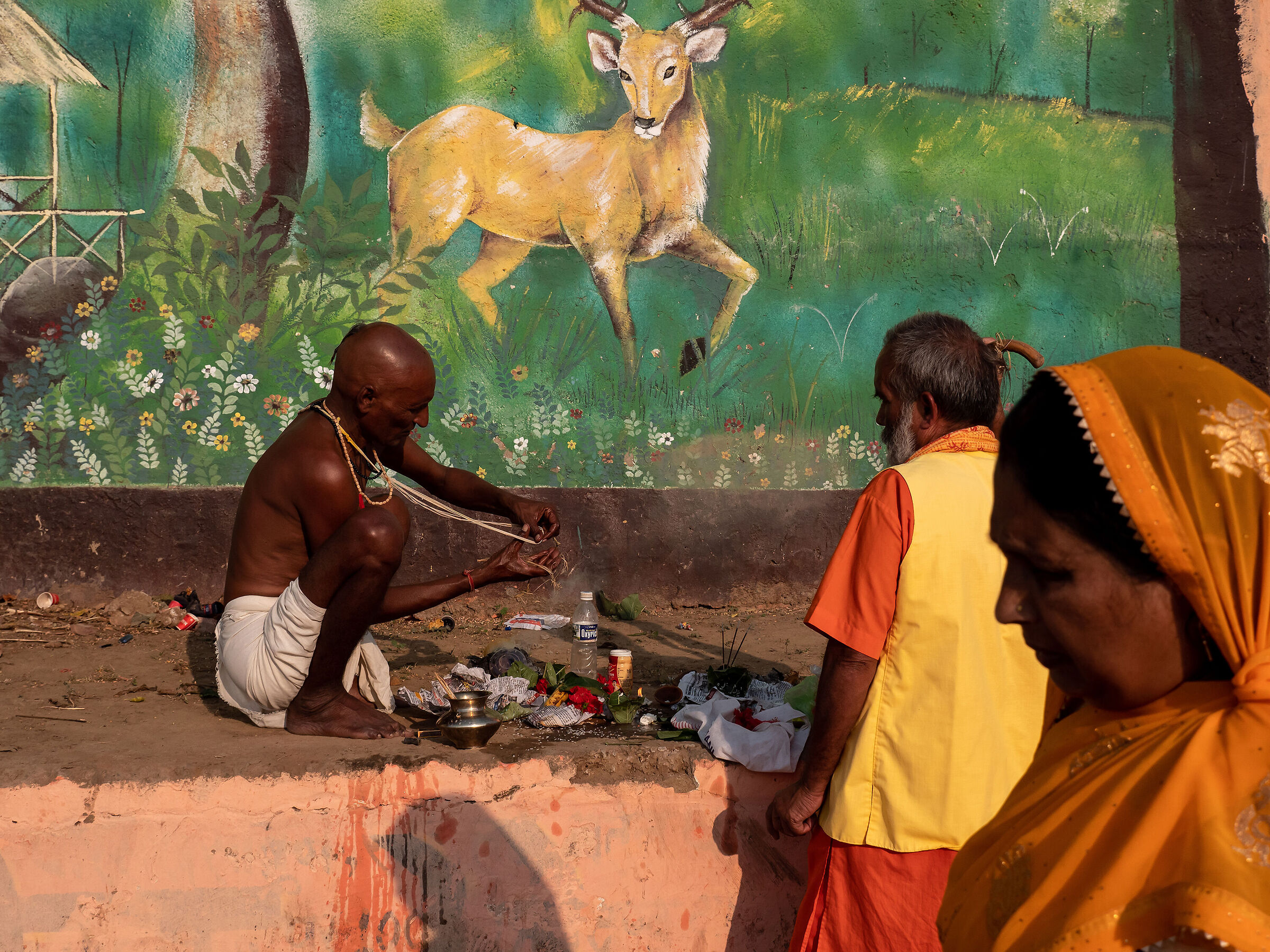 Madhya Pradesh#2 - India 2022