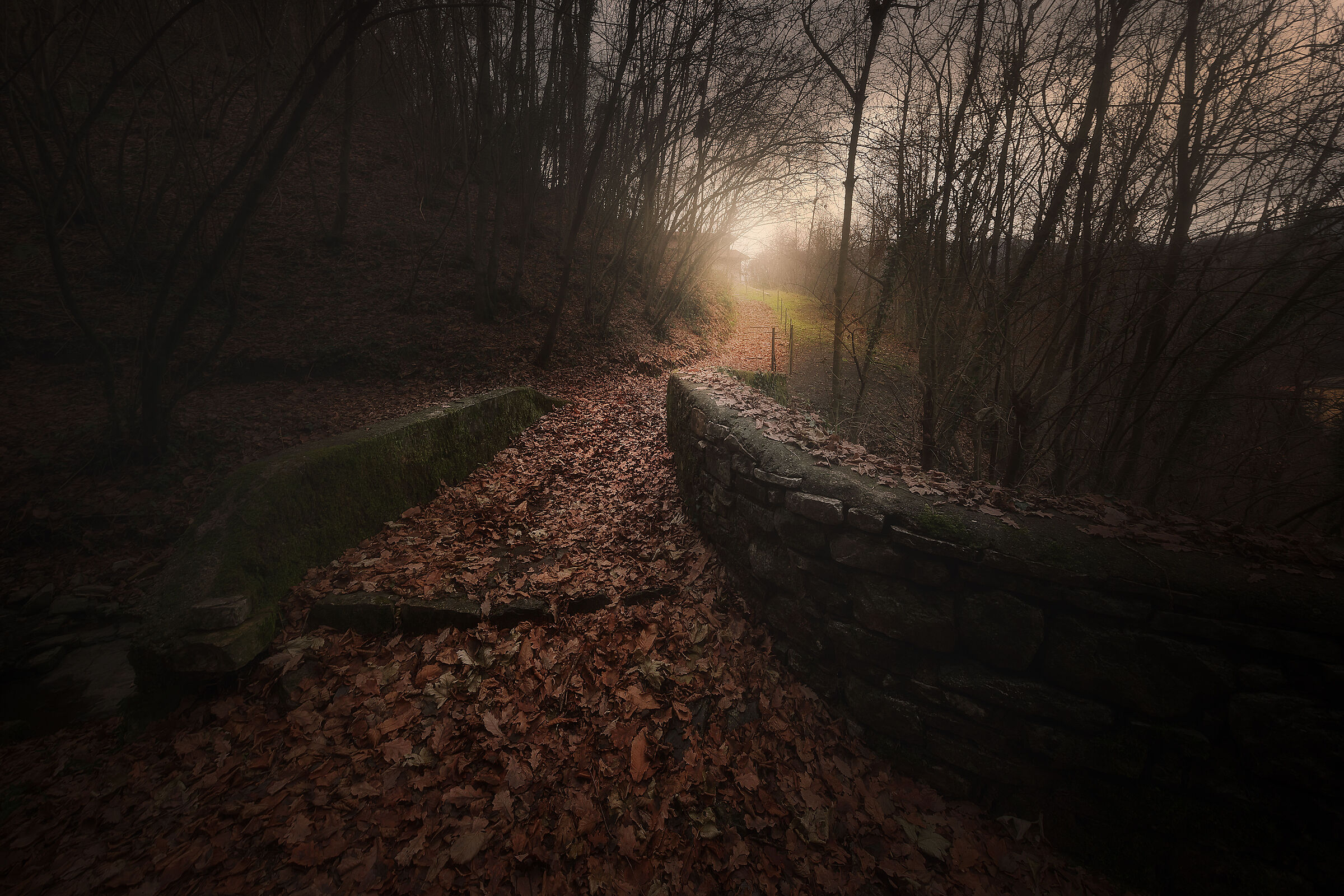 Locatello, mule track of Val Tinella