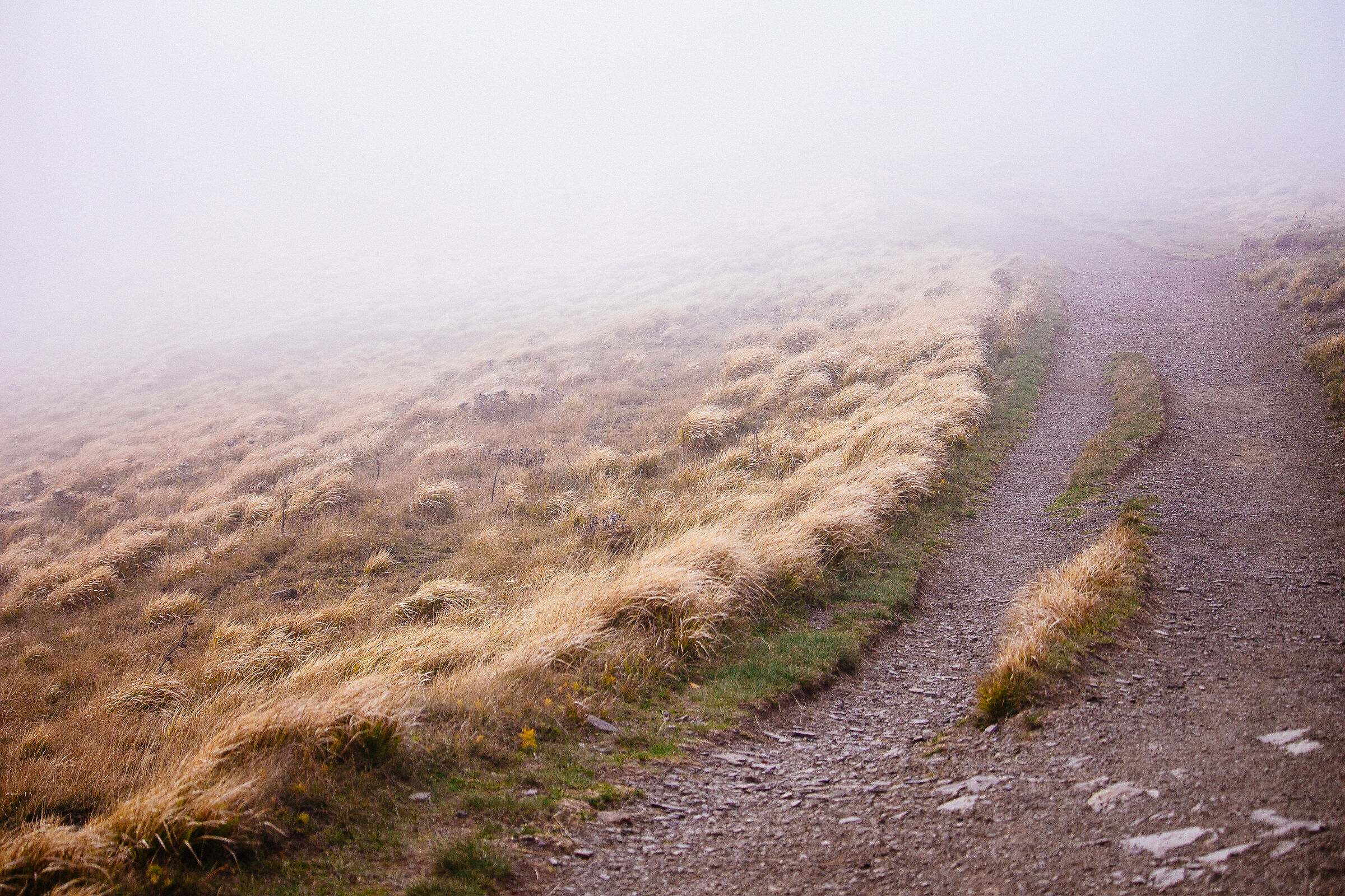 Appennino modenese. Nebbia sul sentiero.