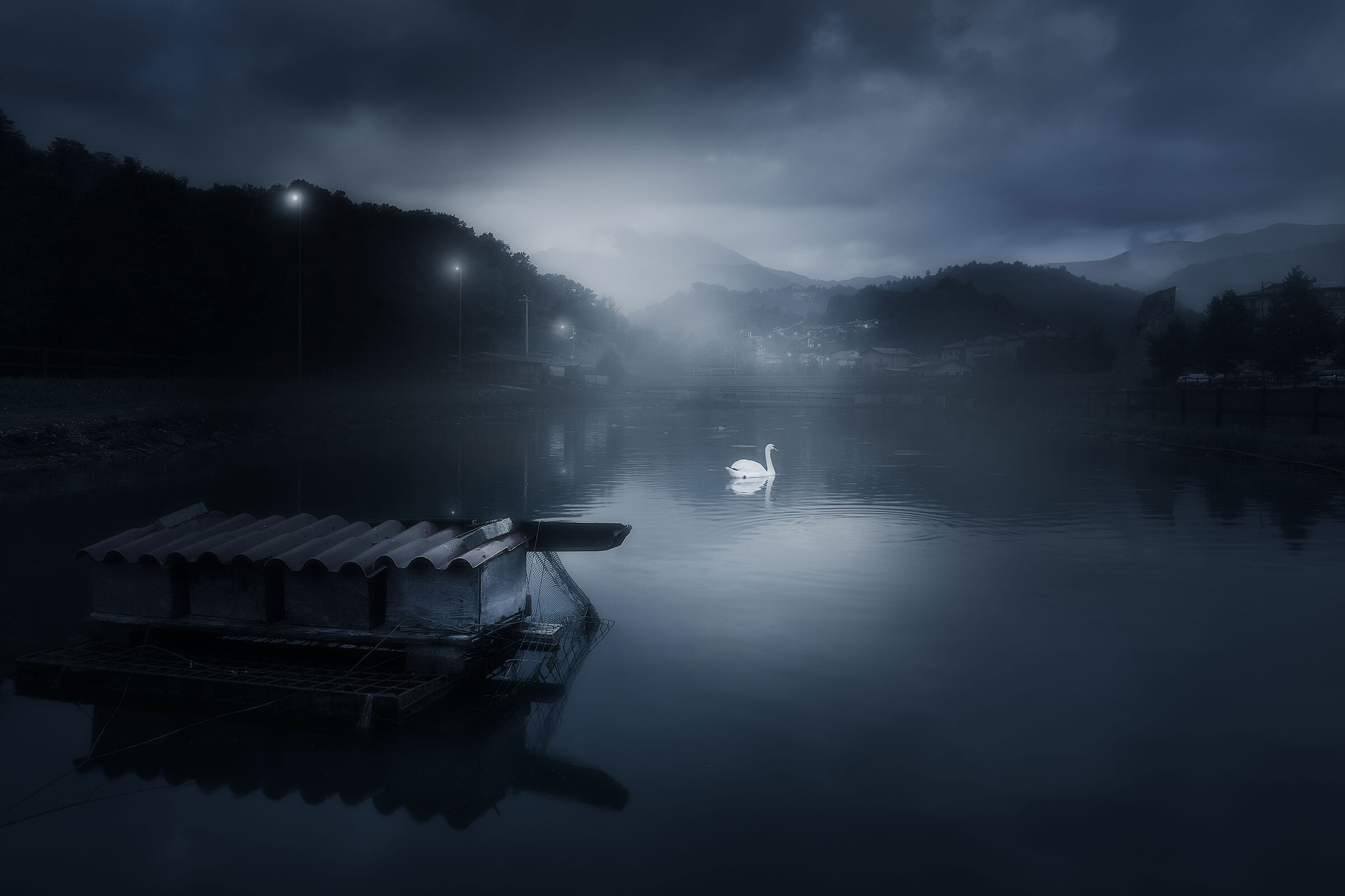 Il lago del cigno