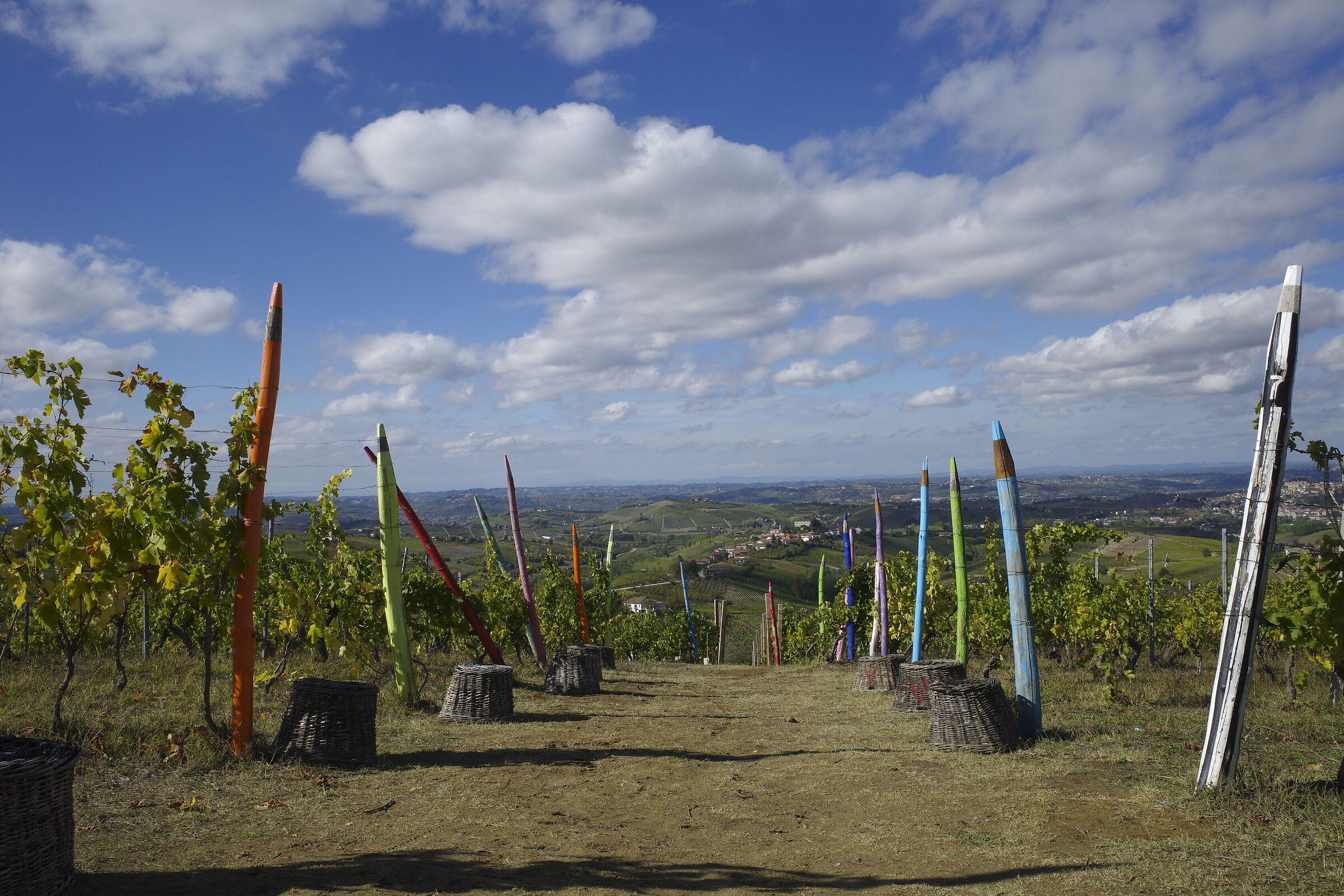 Vigna dei pastelli