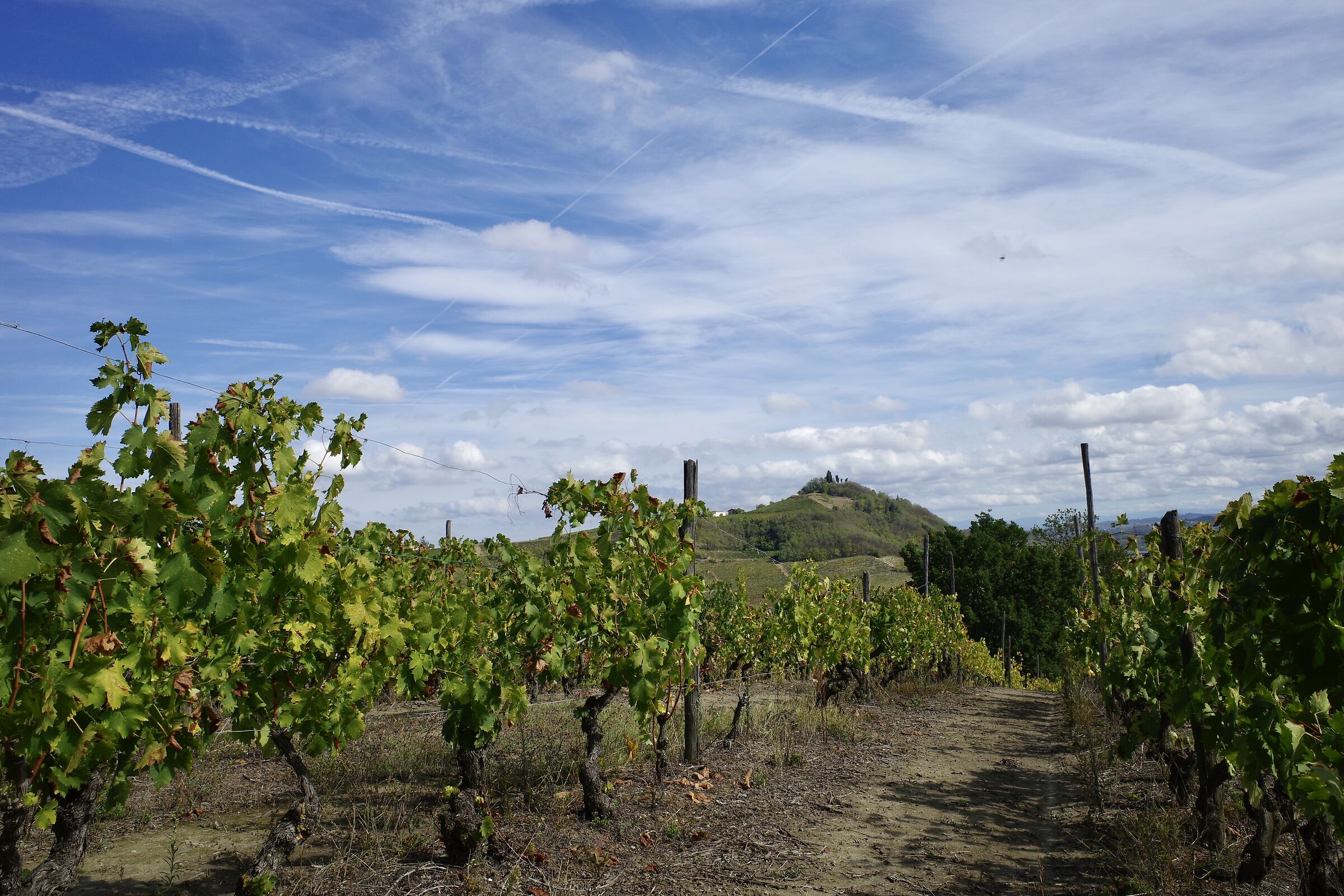 Langhe