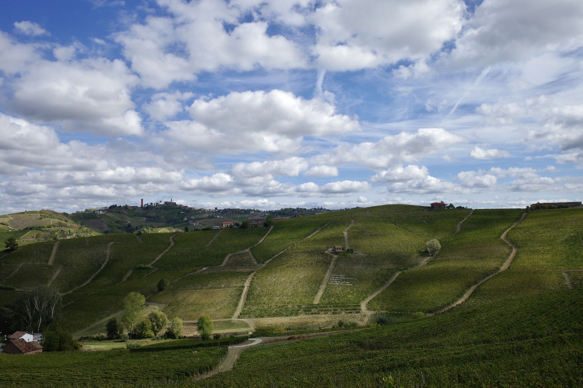 Vigne e poesie