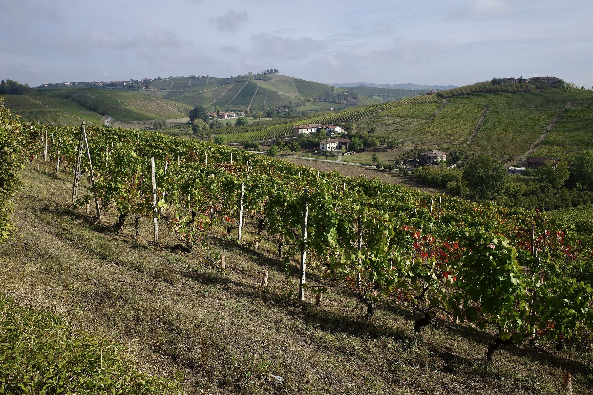 Langhe