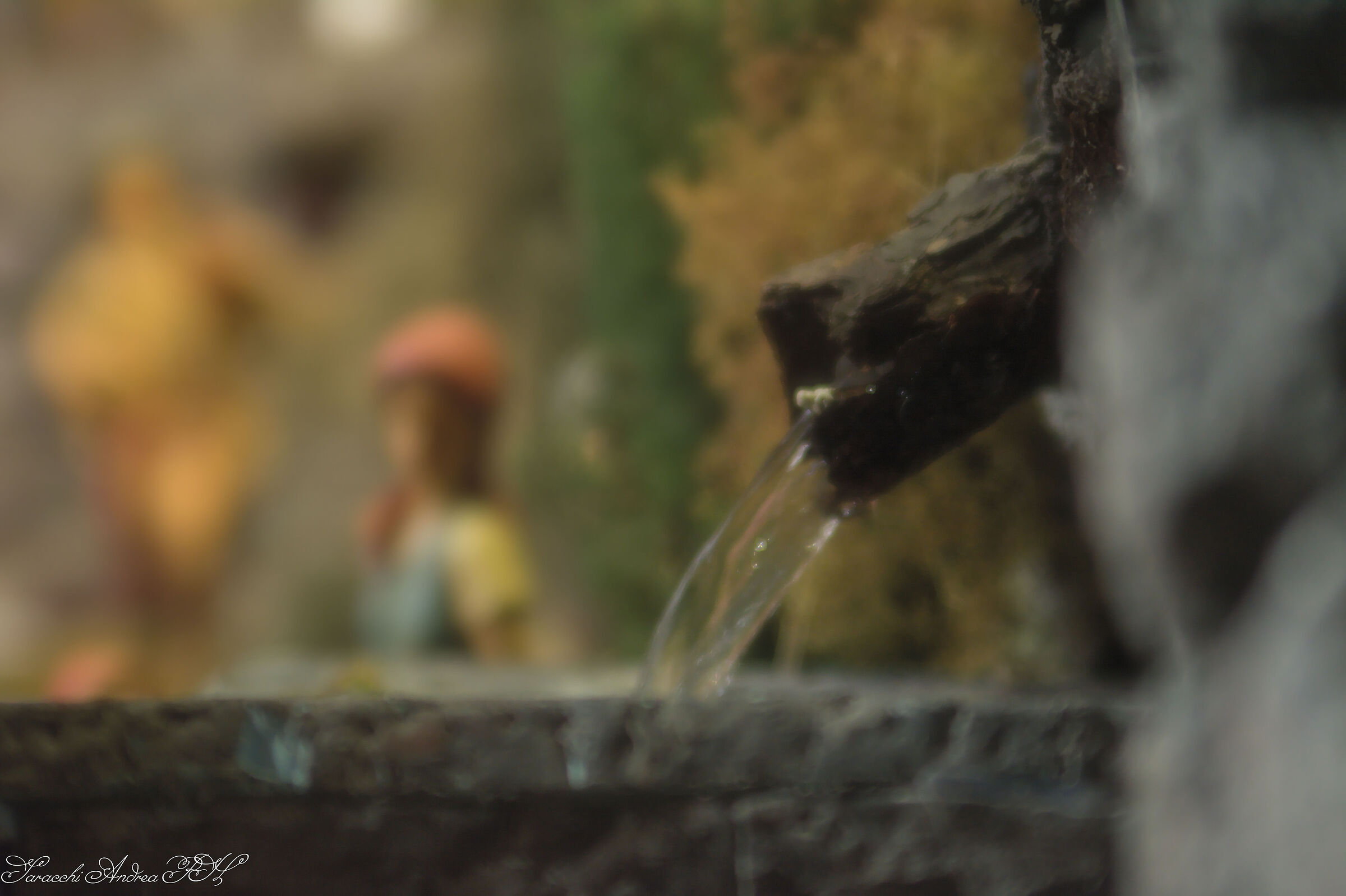 Untitled Photo