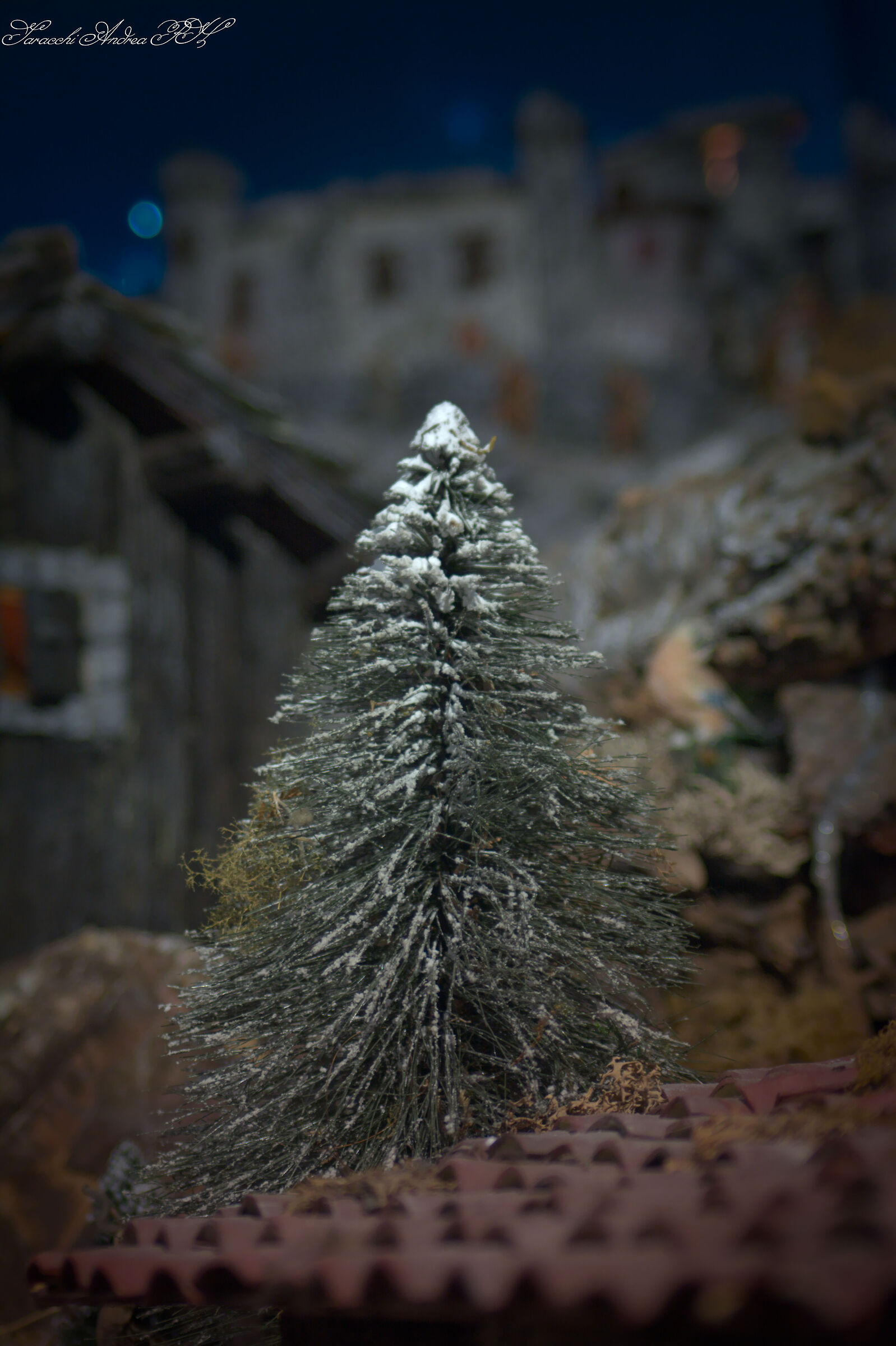 Untitled Photo