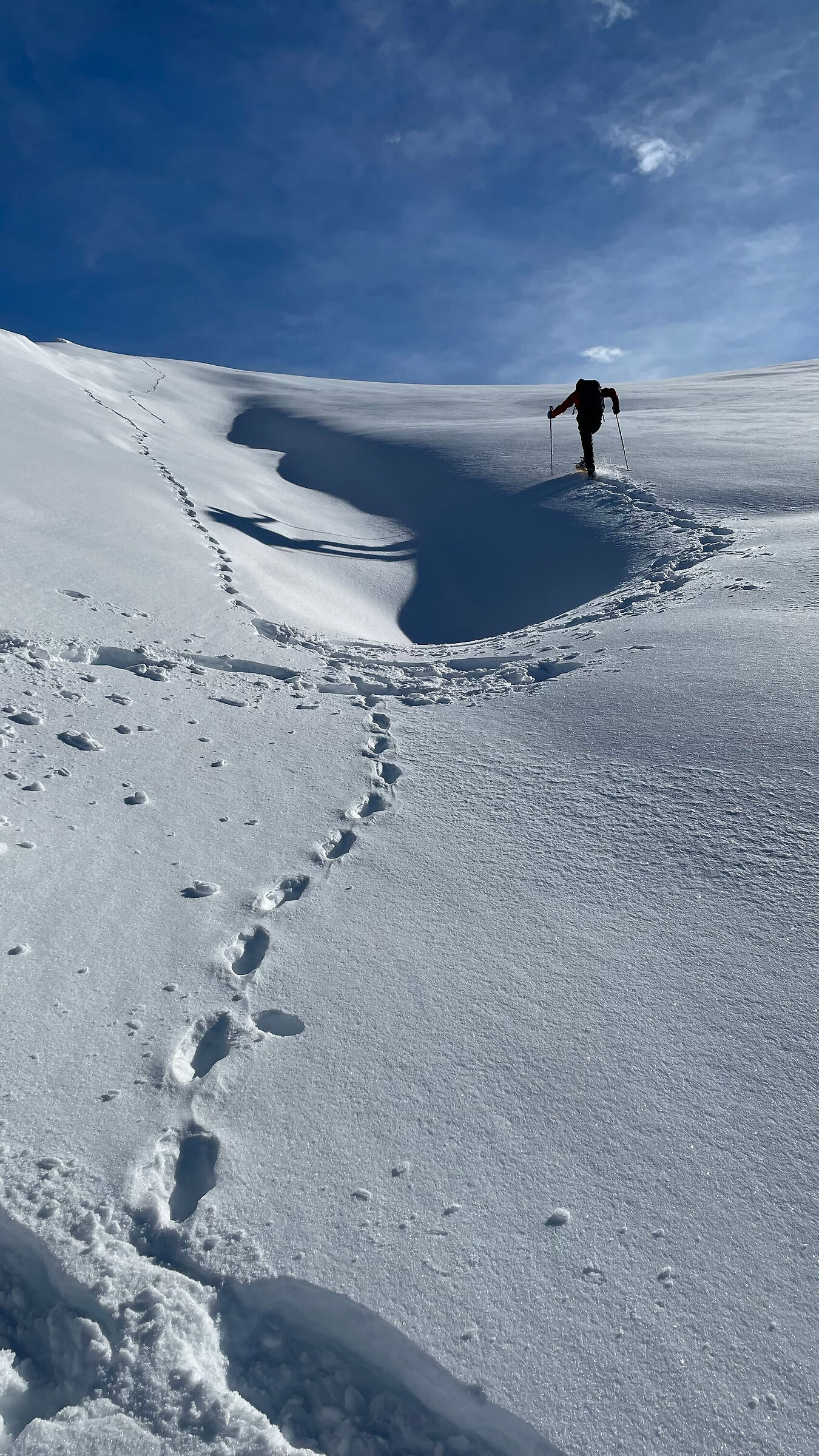 Between snow and sky