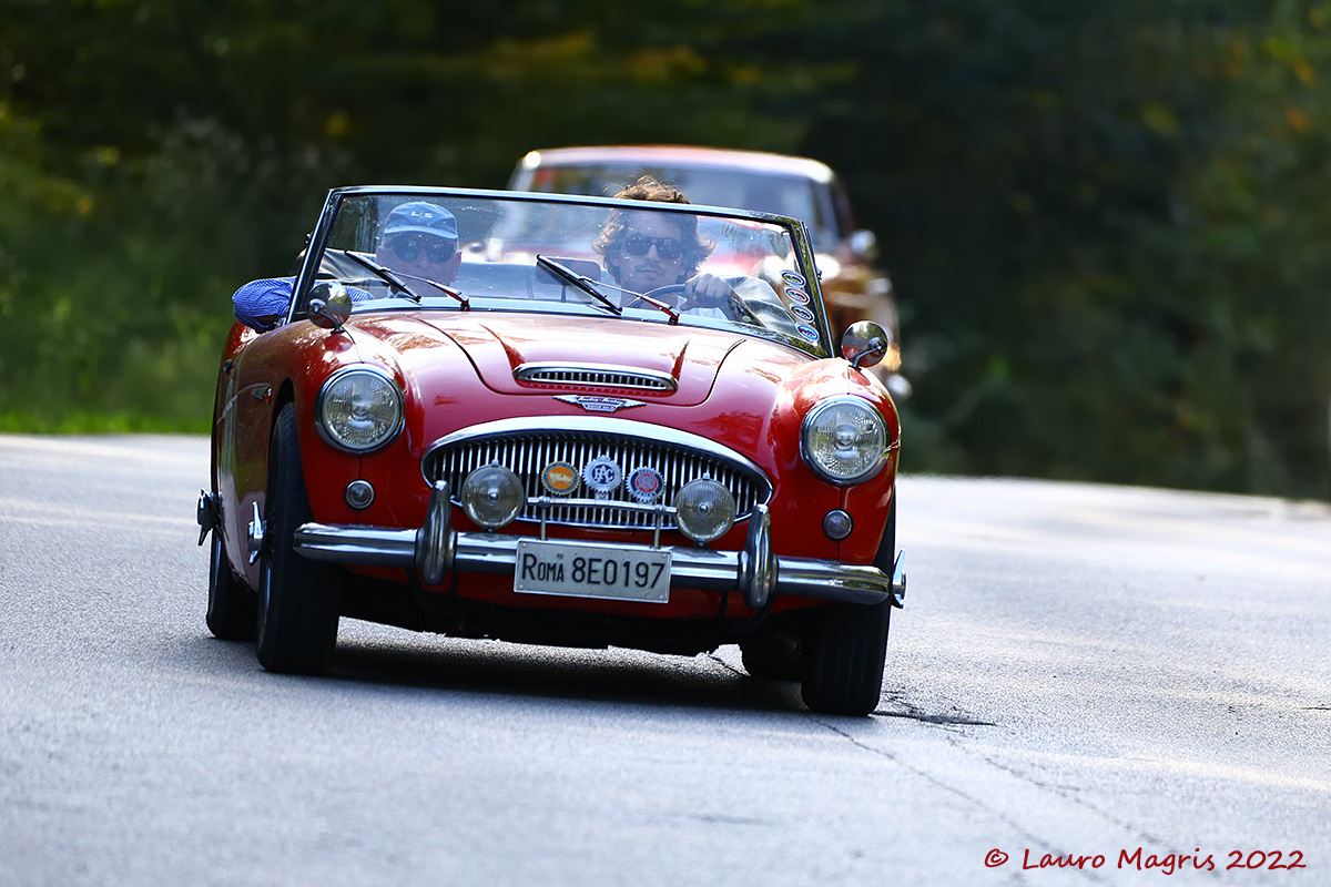 Austin Healey 3000 mkiii bj9 (1964)