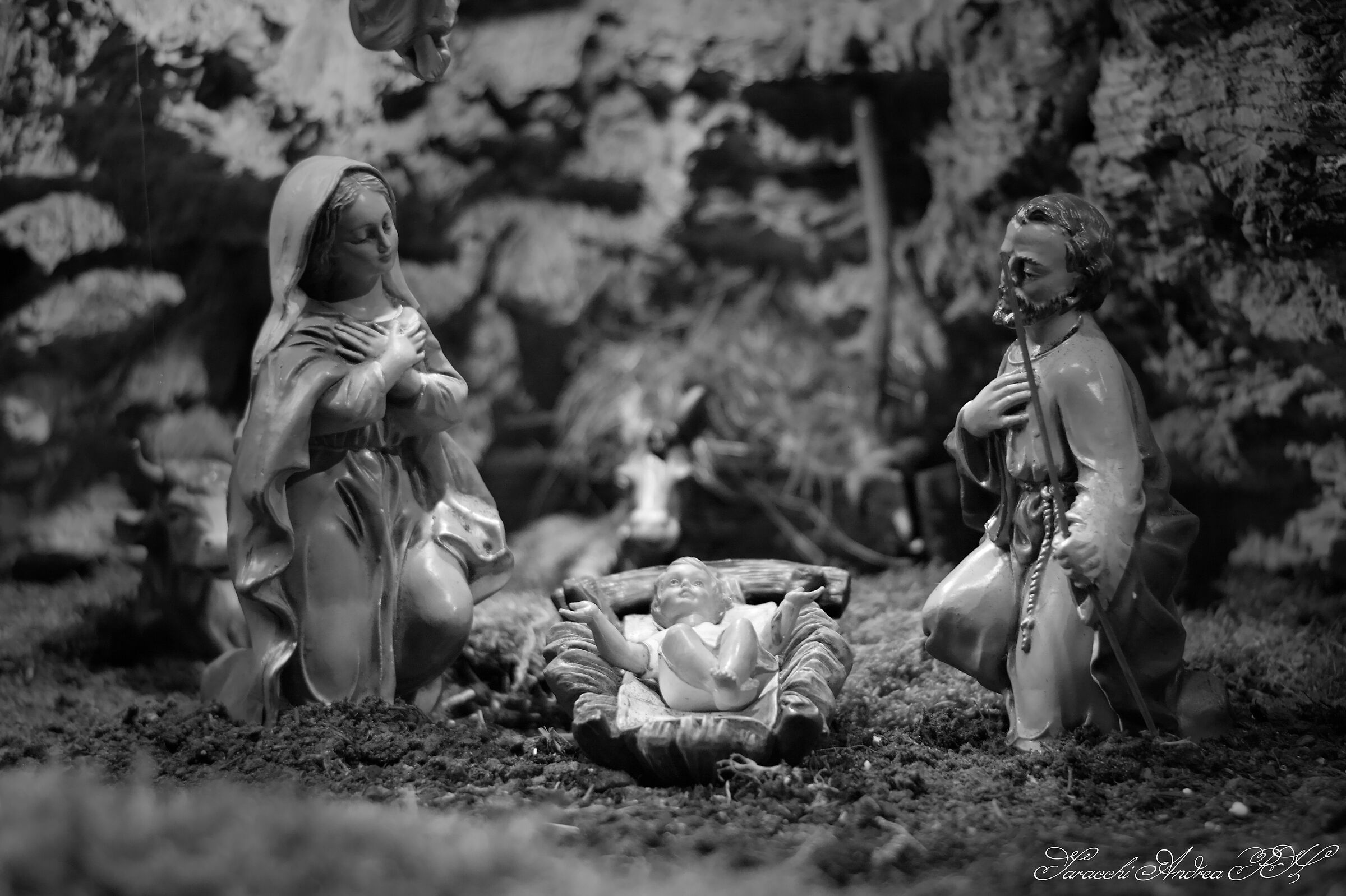 Untitled Photo