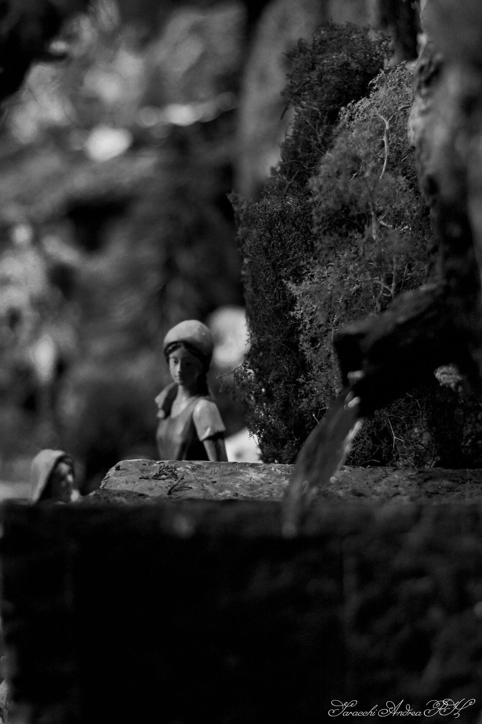 Untitled Photo