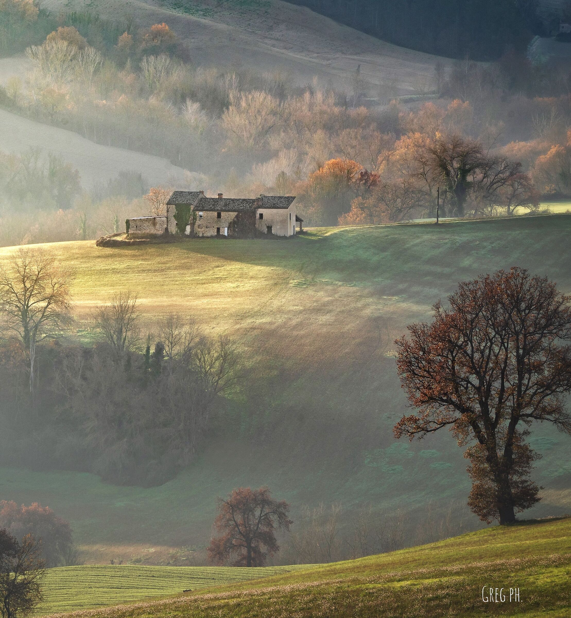 First lights