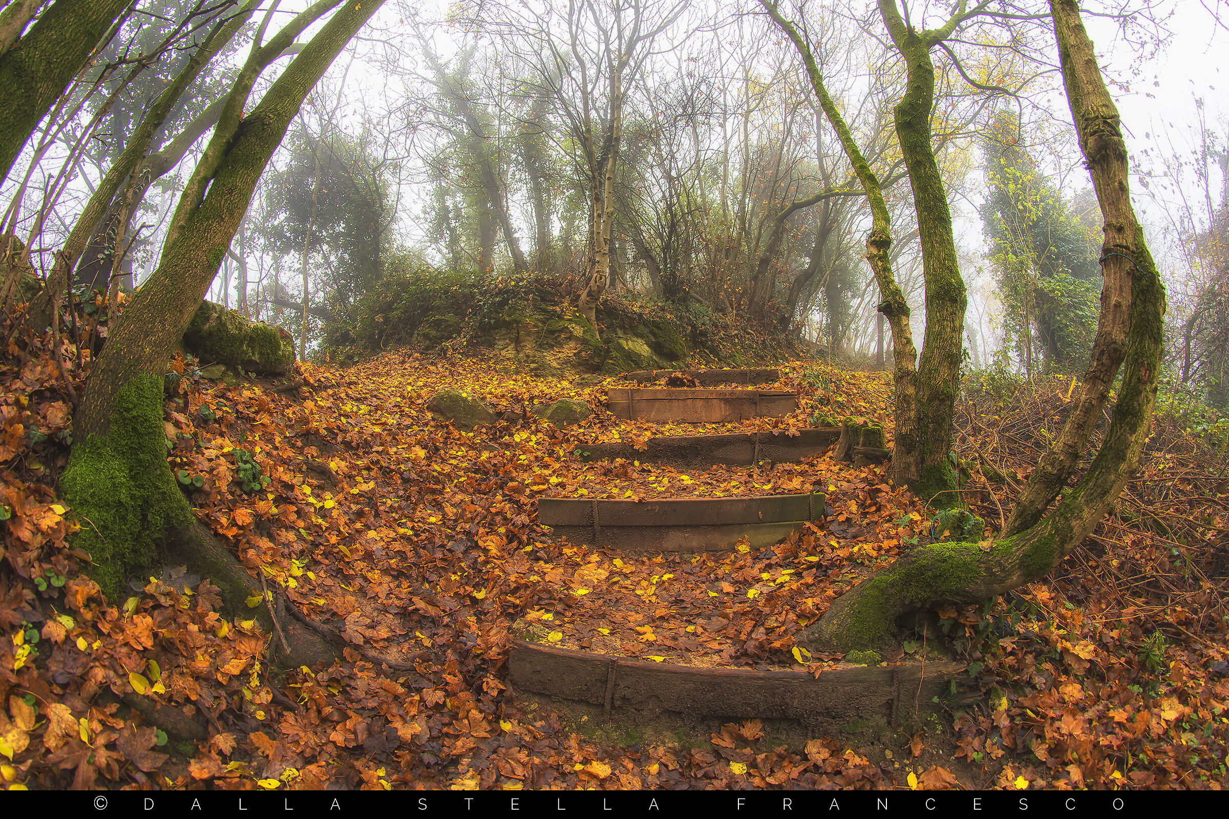 January disguised as November