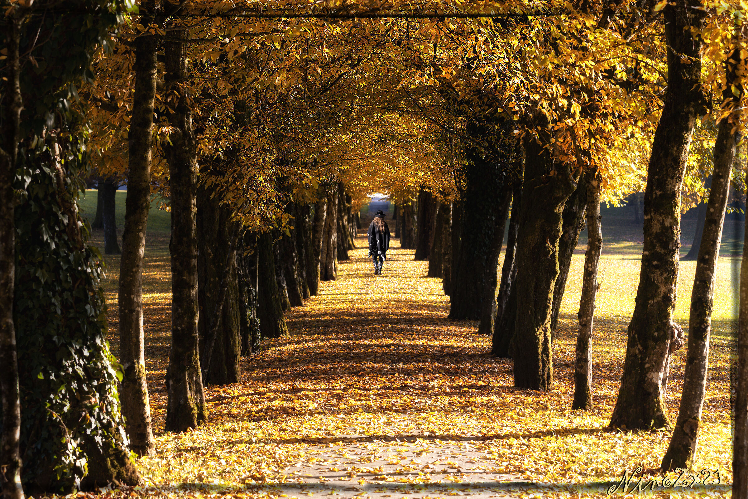 Autumn Impressions Brdo (SLO)