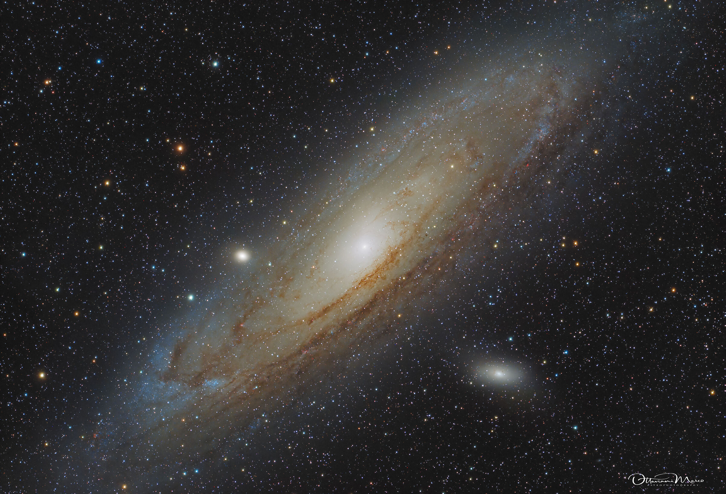 M31 Galassia di Andromeda