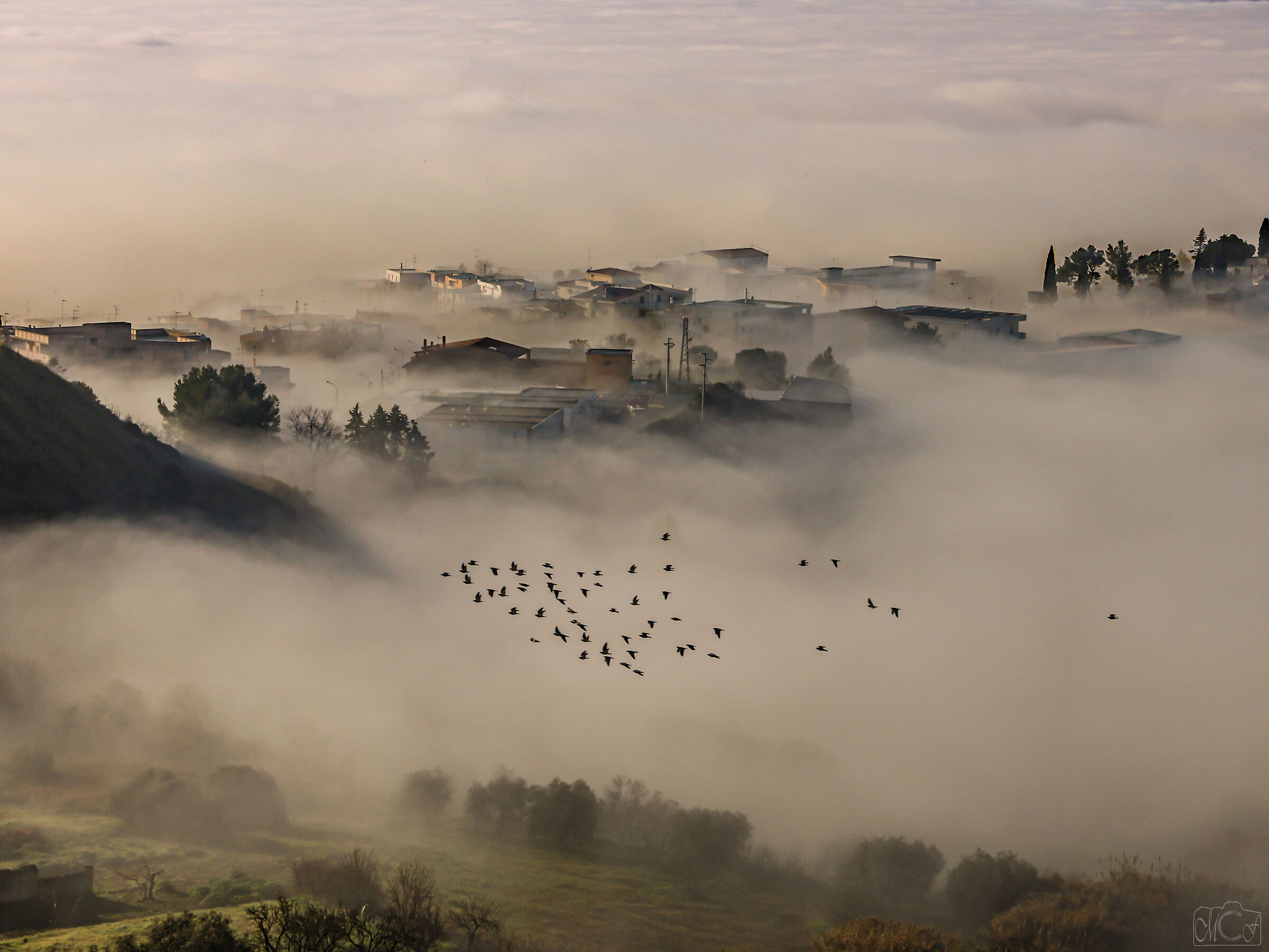 Montescaglioso (Matera) ed il suo Mare (di nebbia)
