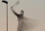 [Fotografia]