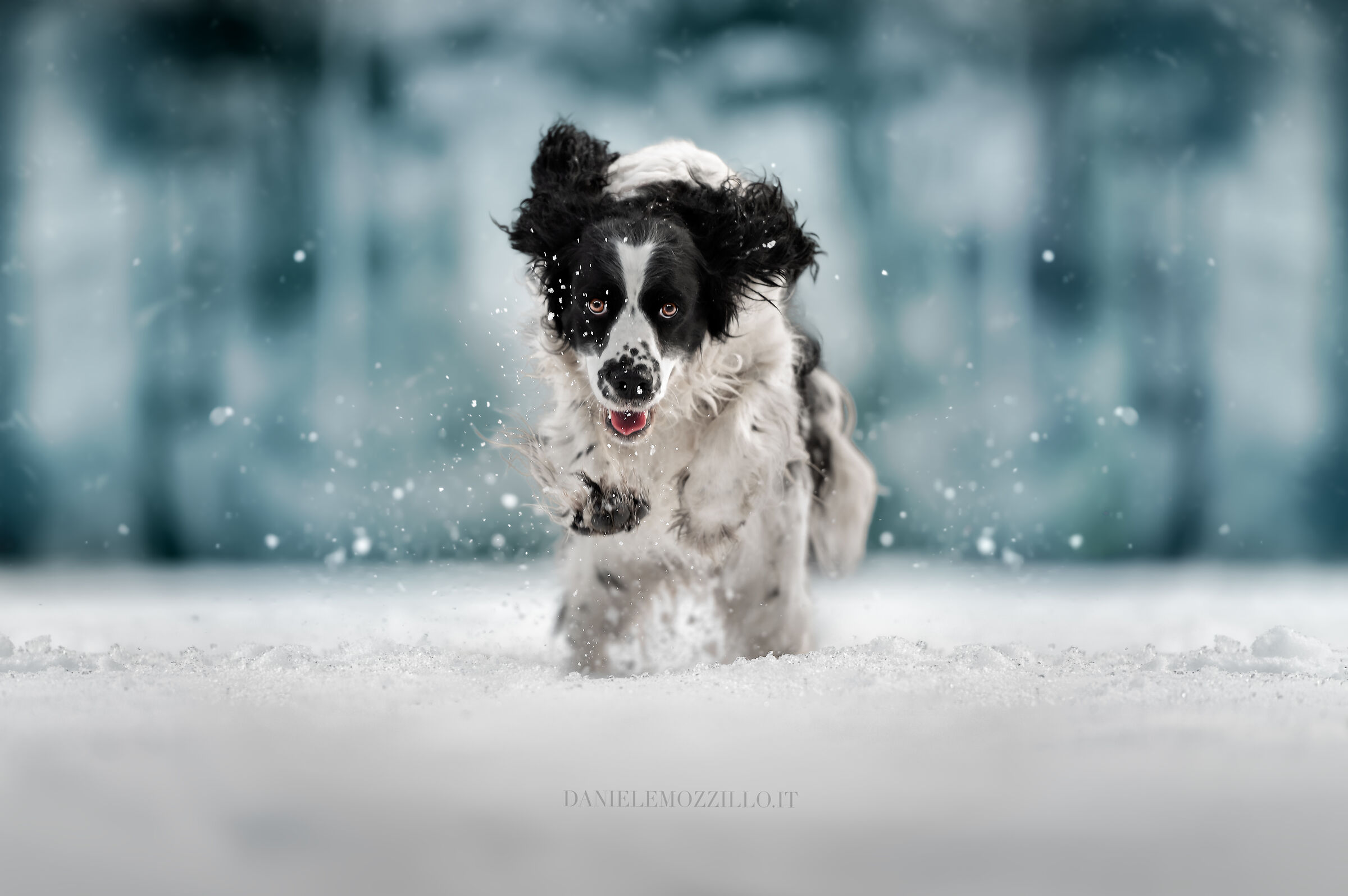 Kelly and the snow ??