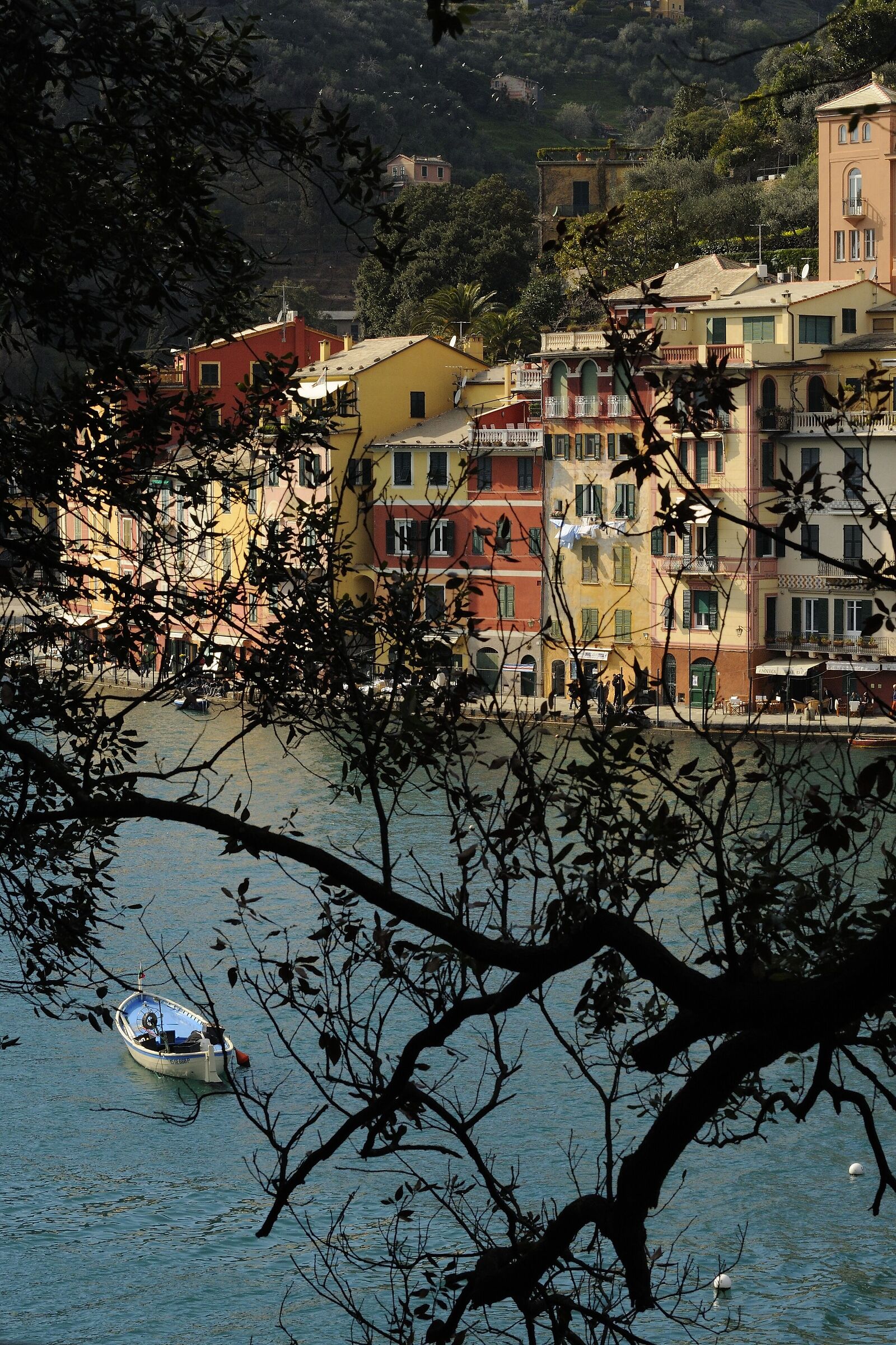 Portofino among the trees