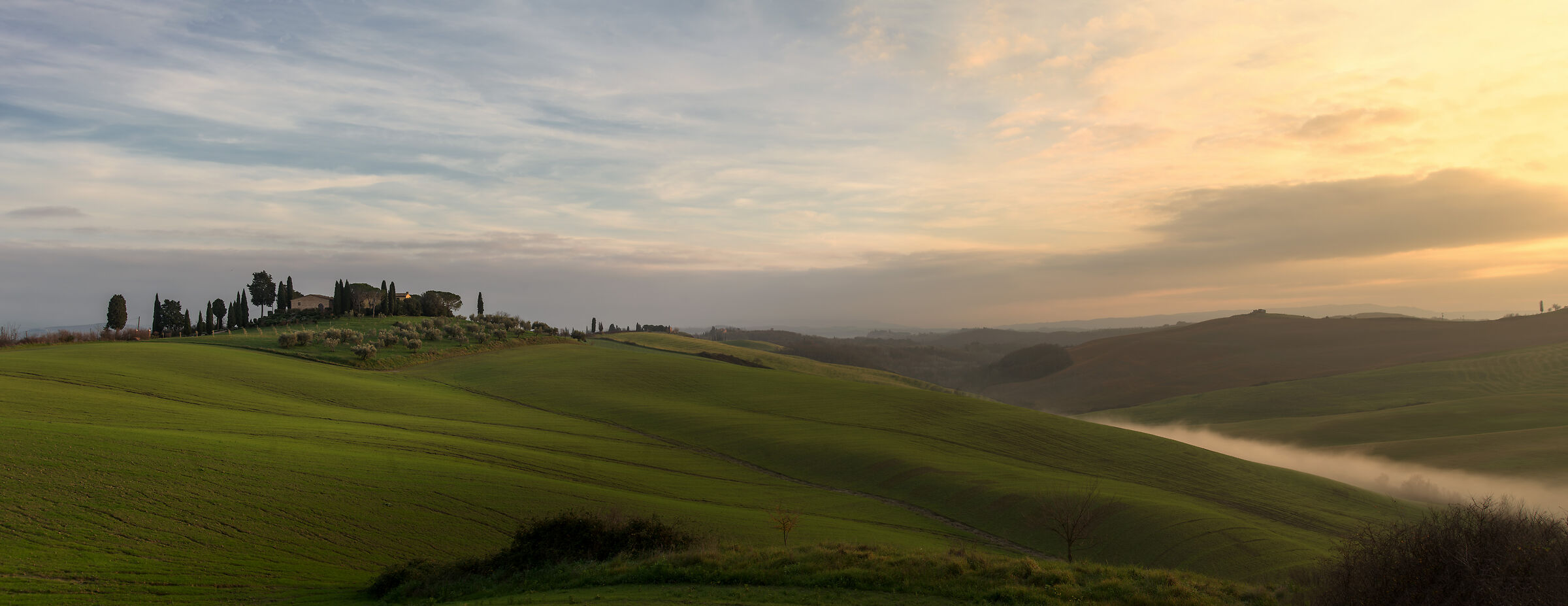 Baccoleno the Vengeance