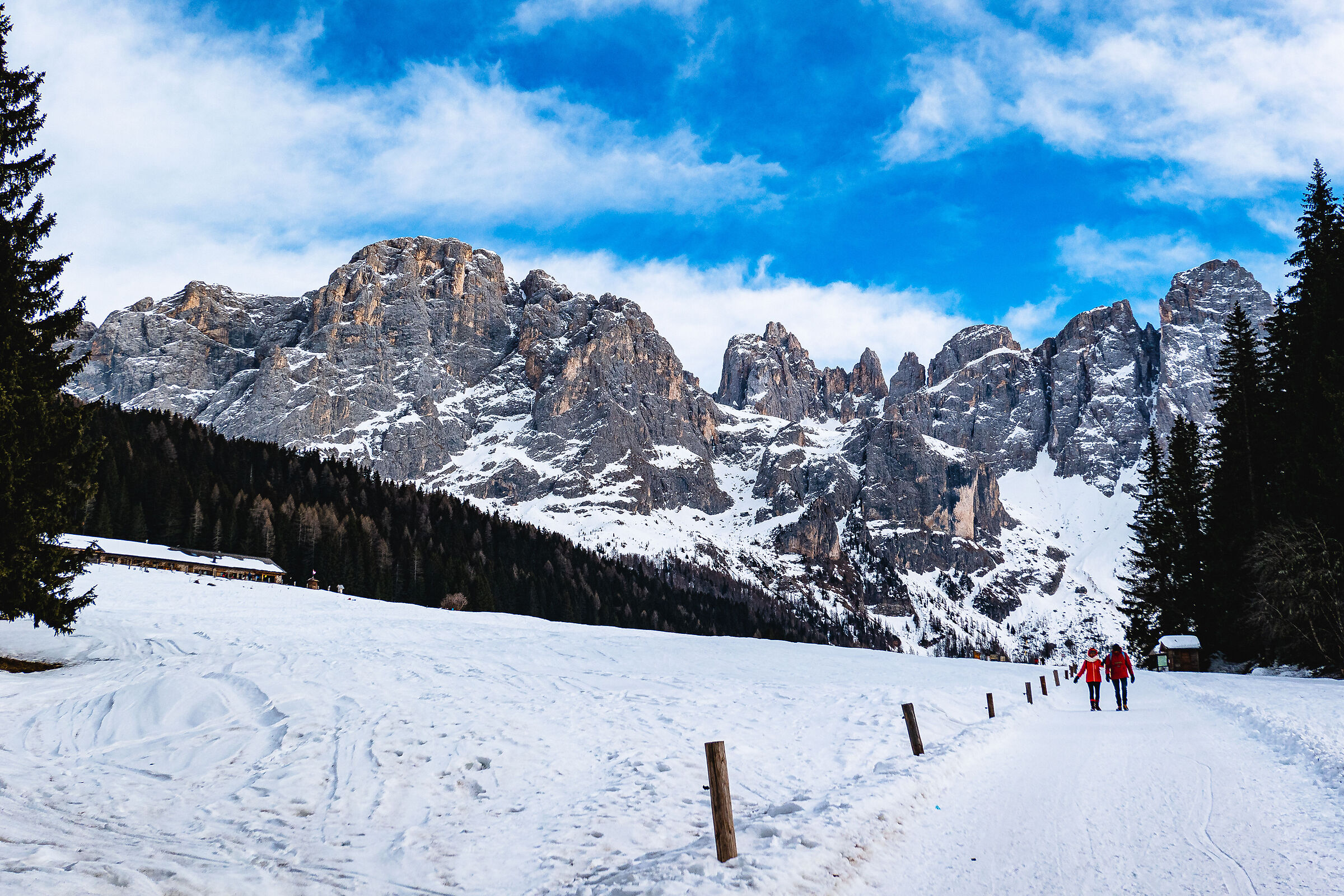 Pale di San Martino