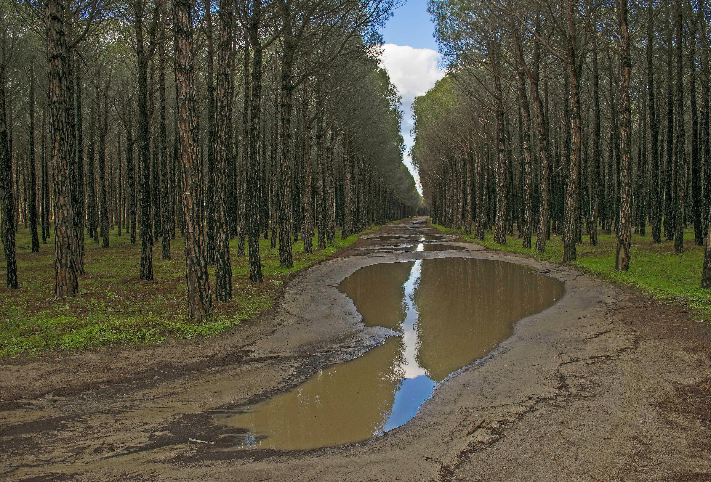 Reflections